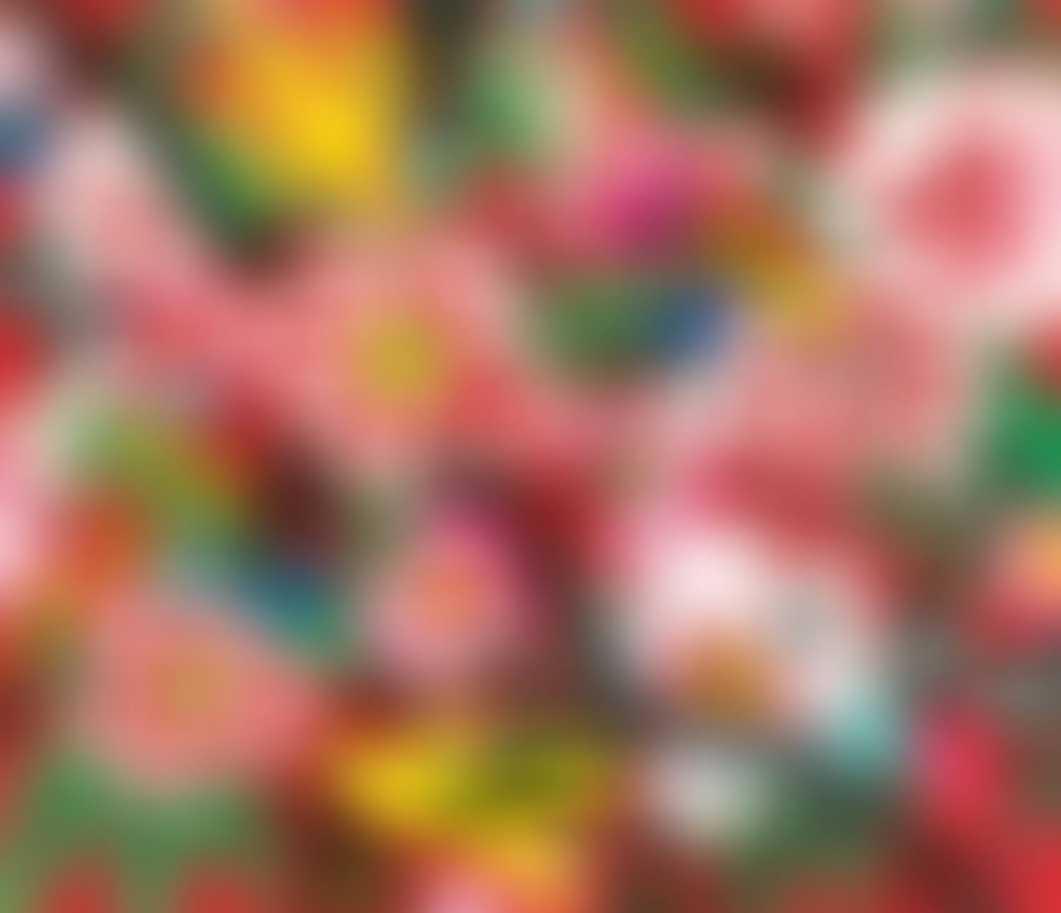 Full Bloom (preview)