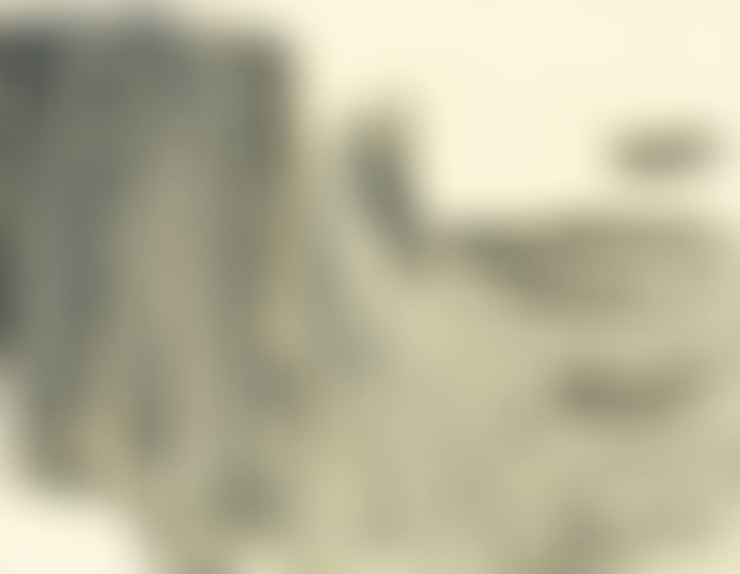 With Winds (preview)