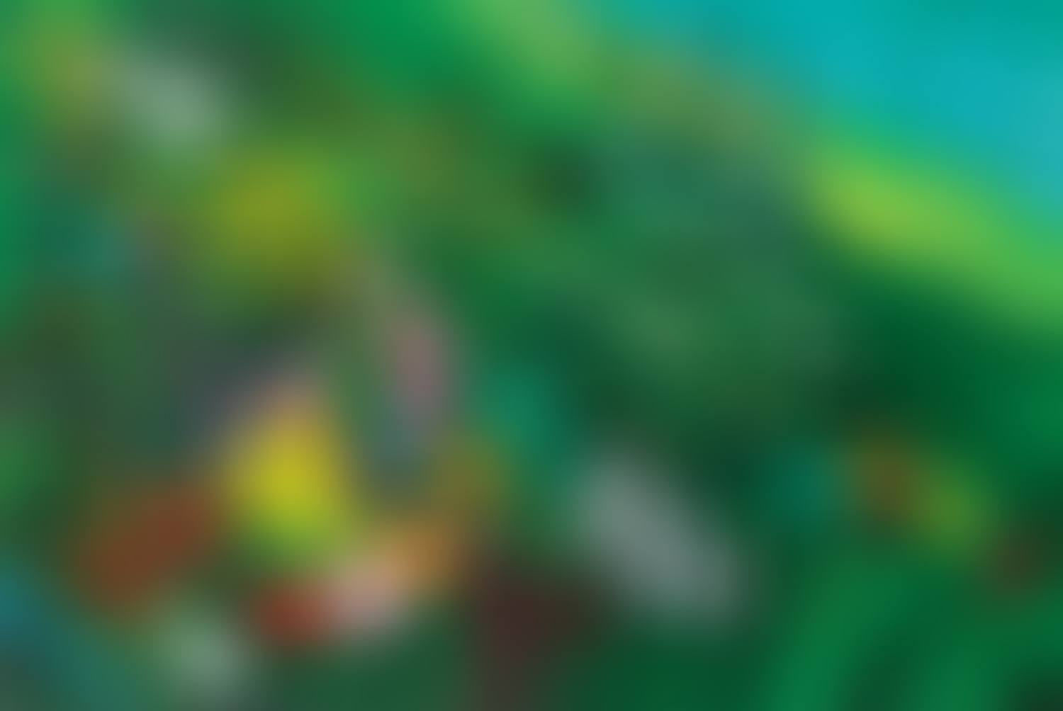 Summer Mt. Seorak (preview)