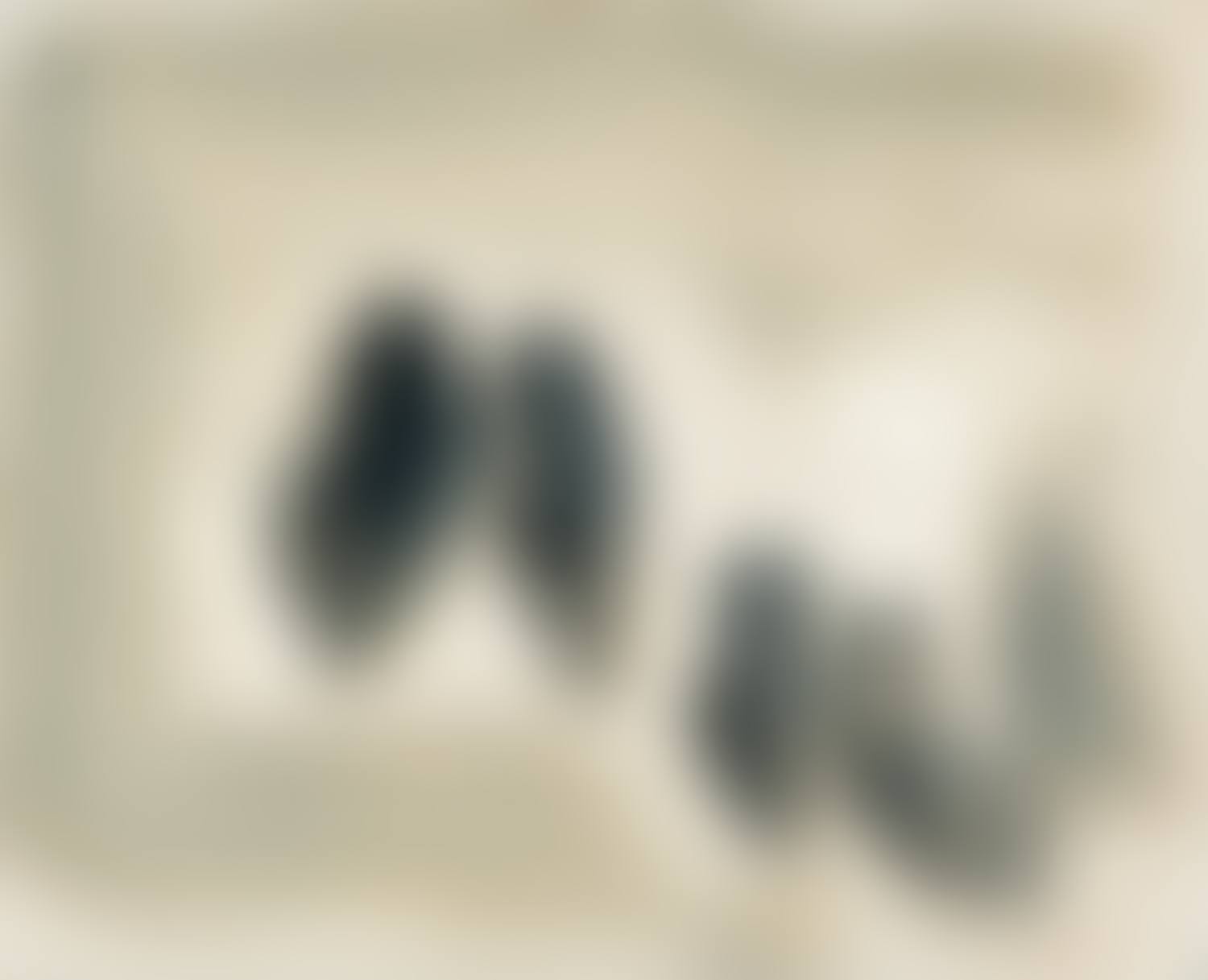 From Winds (preview)