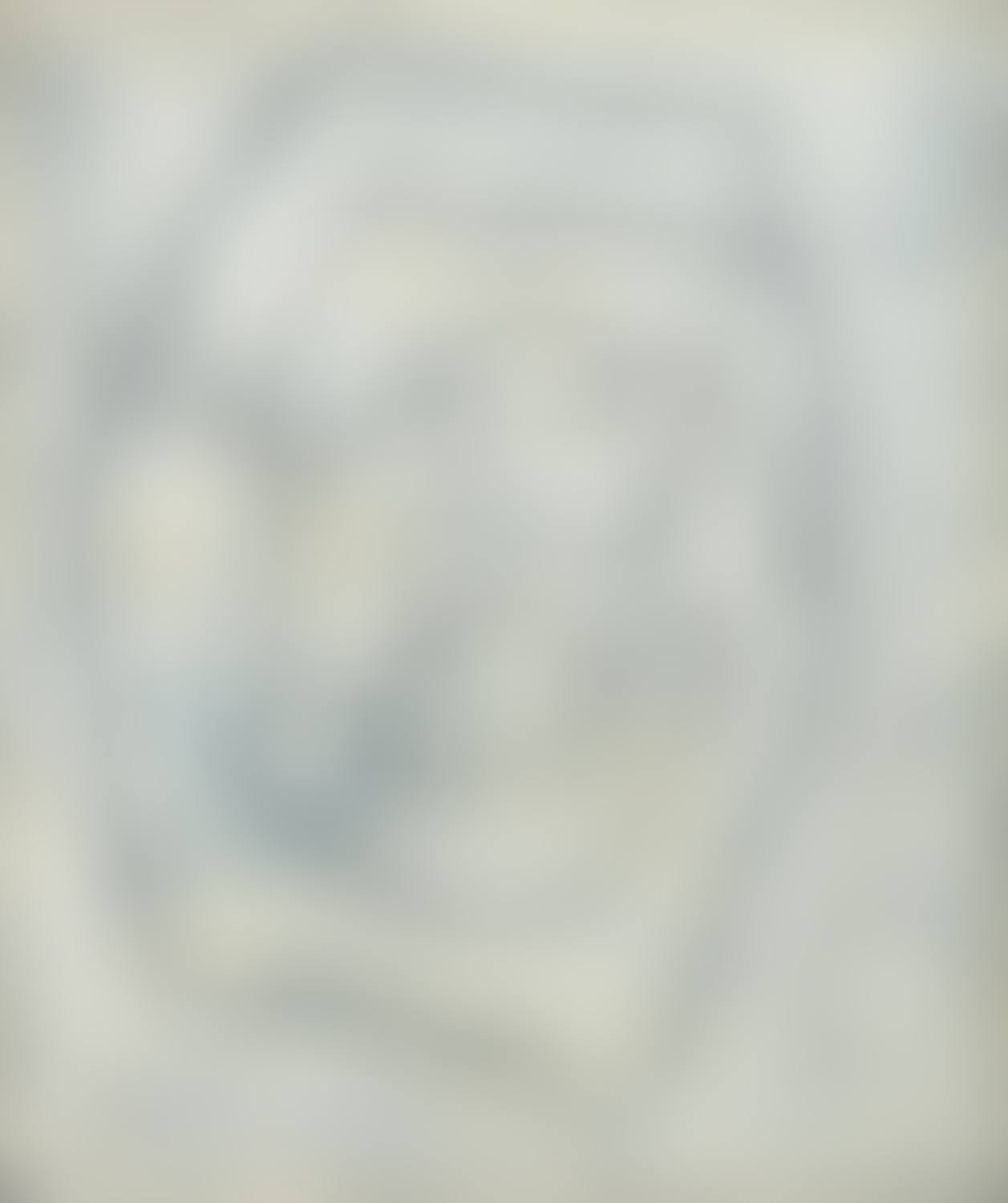Observant (preview)