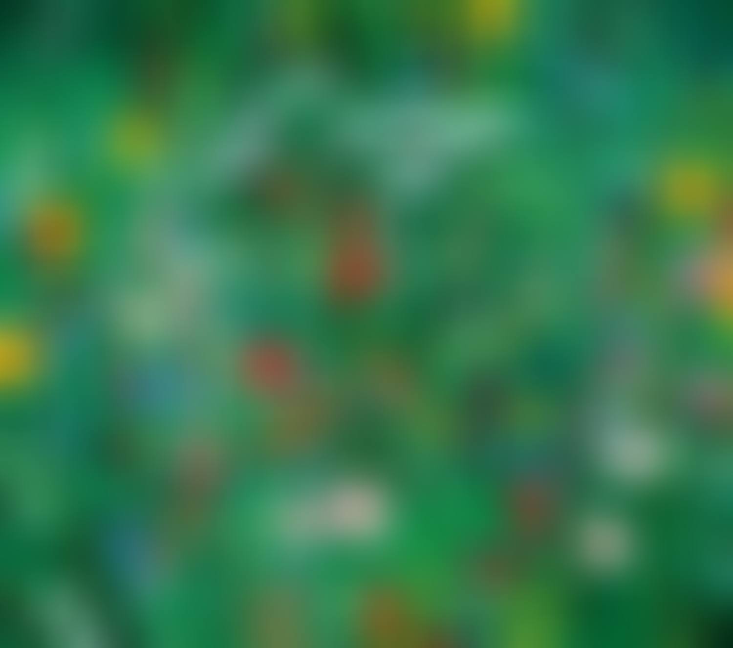 Summer of Seorak (preview)