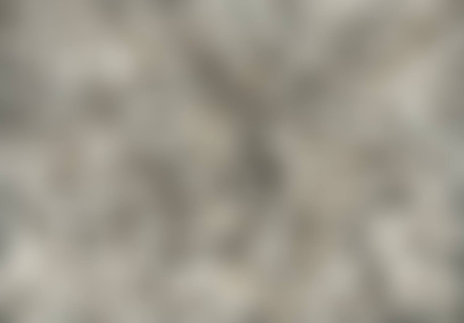 Ecriture No. 802-85 (preview)