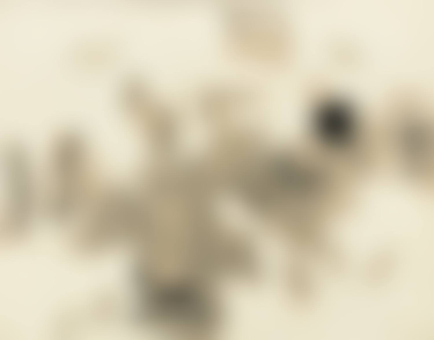 With Winds (preview)