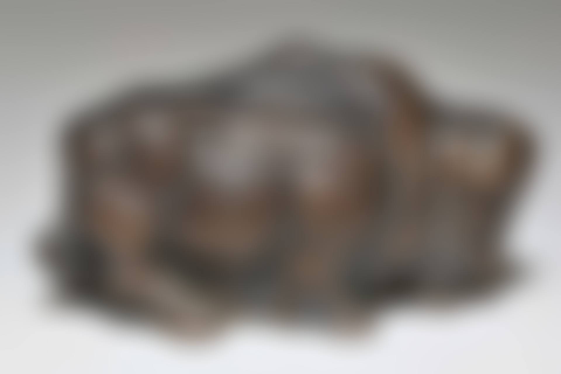 Bison (preview)