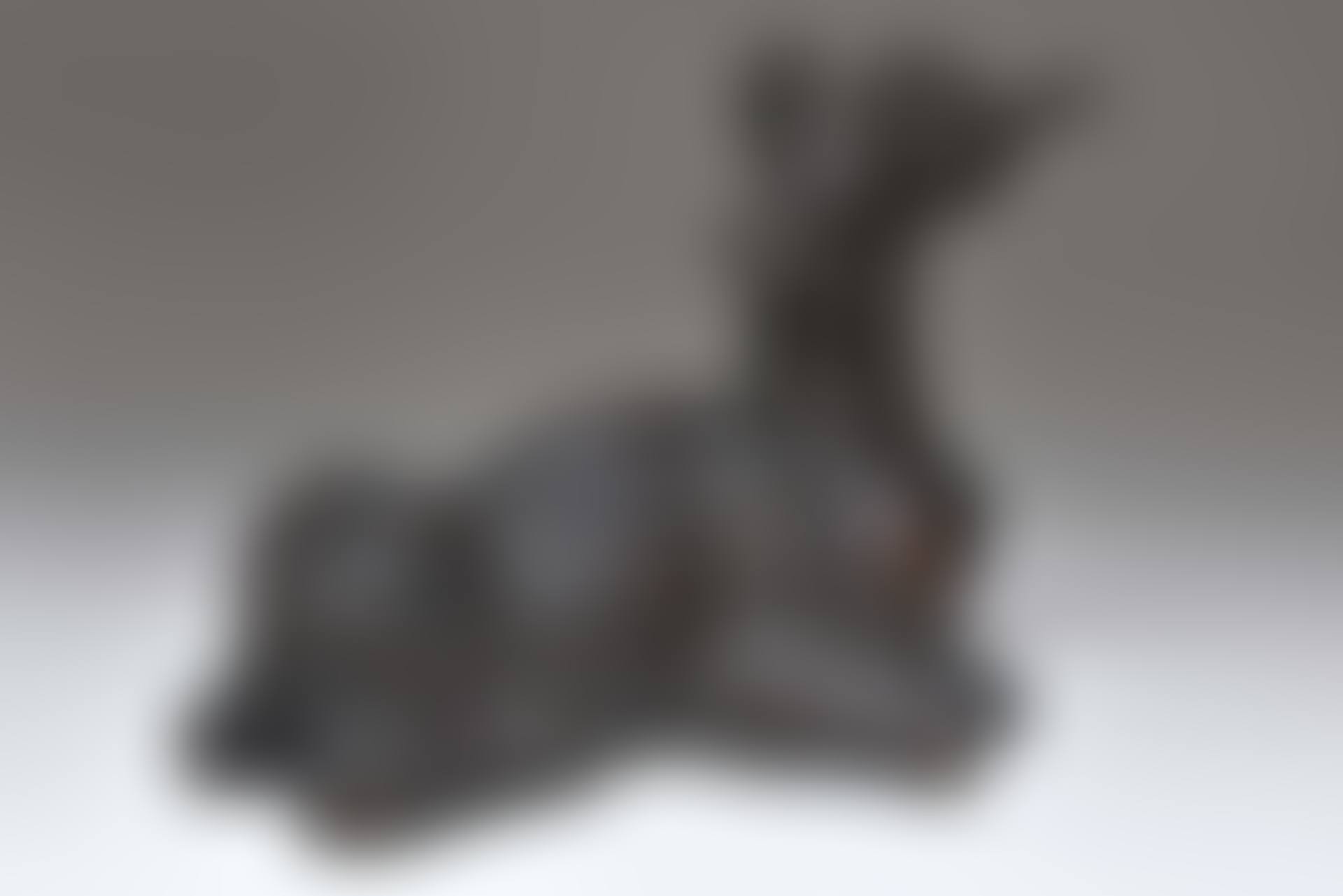 Antilope (preview)