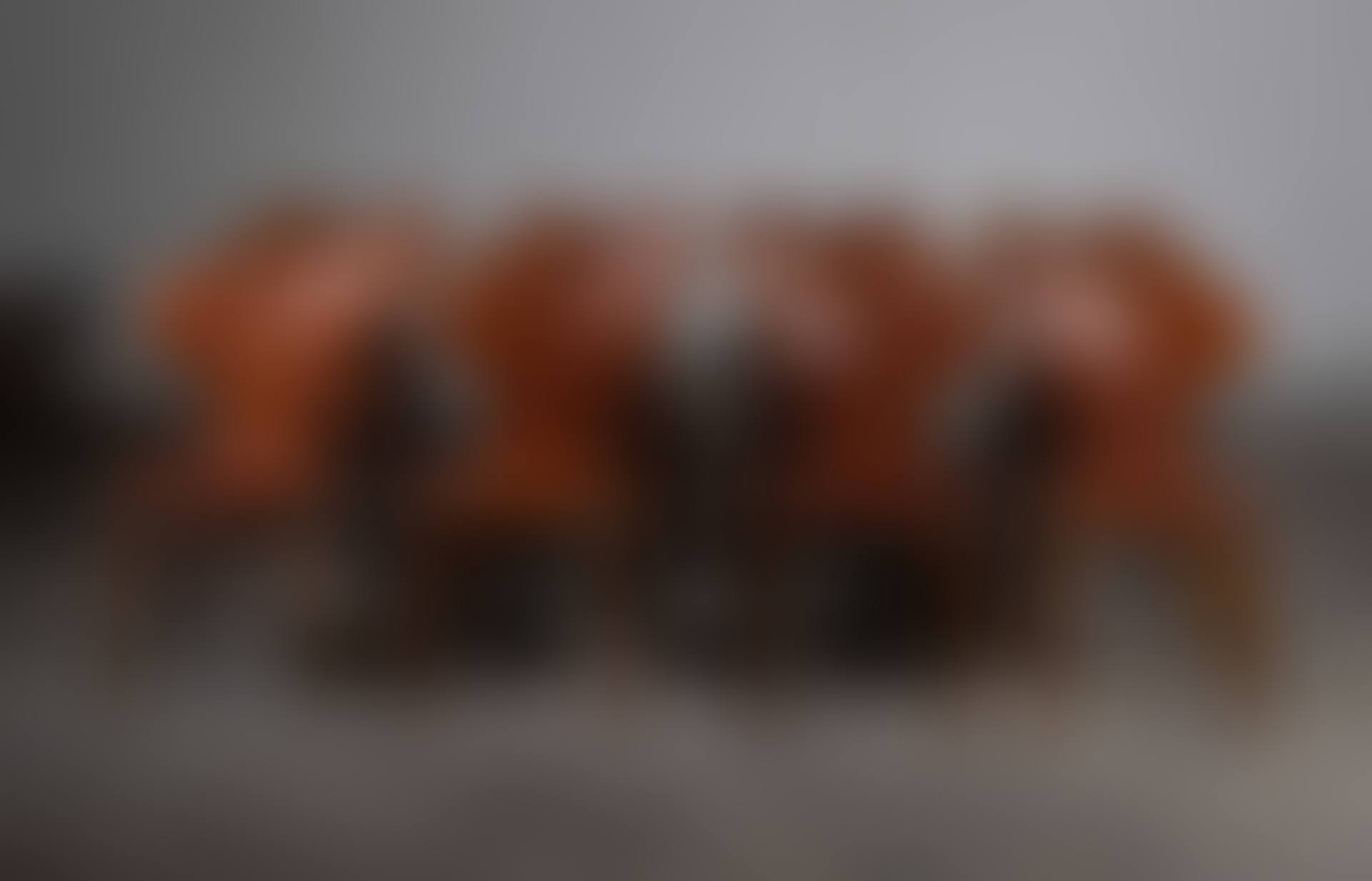 Suite de douze chaises mod. Grand Prix (preview)