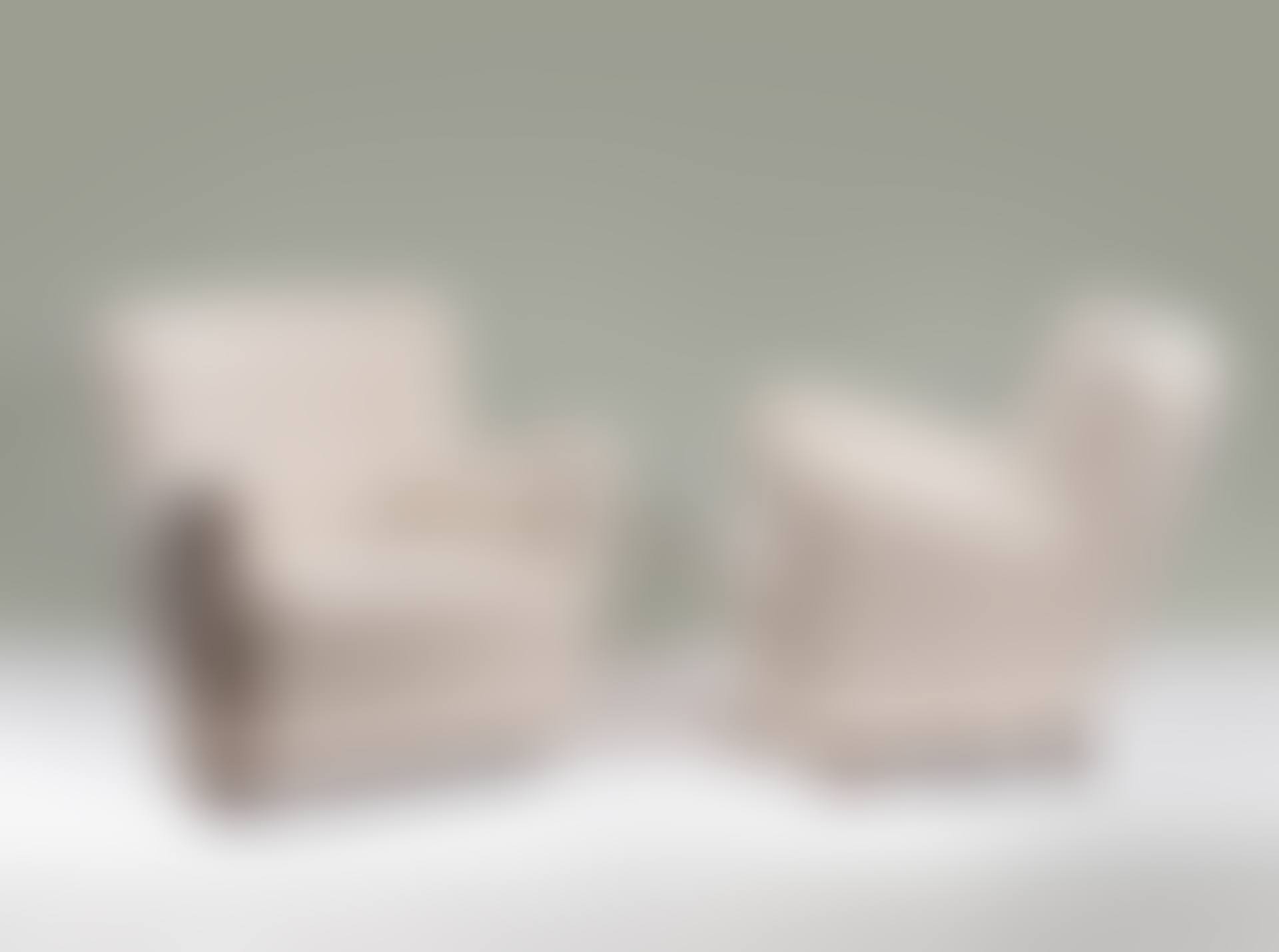 Paire de fauteuils mod. U312 (preview)