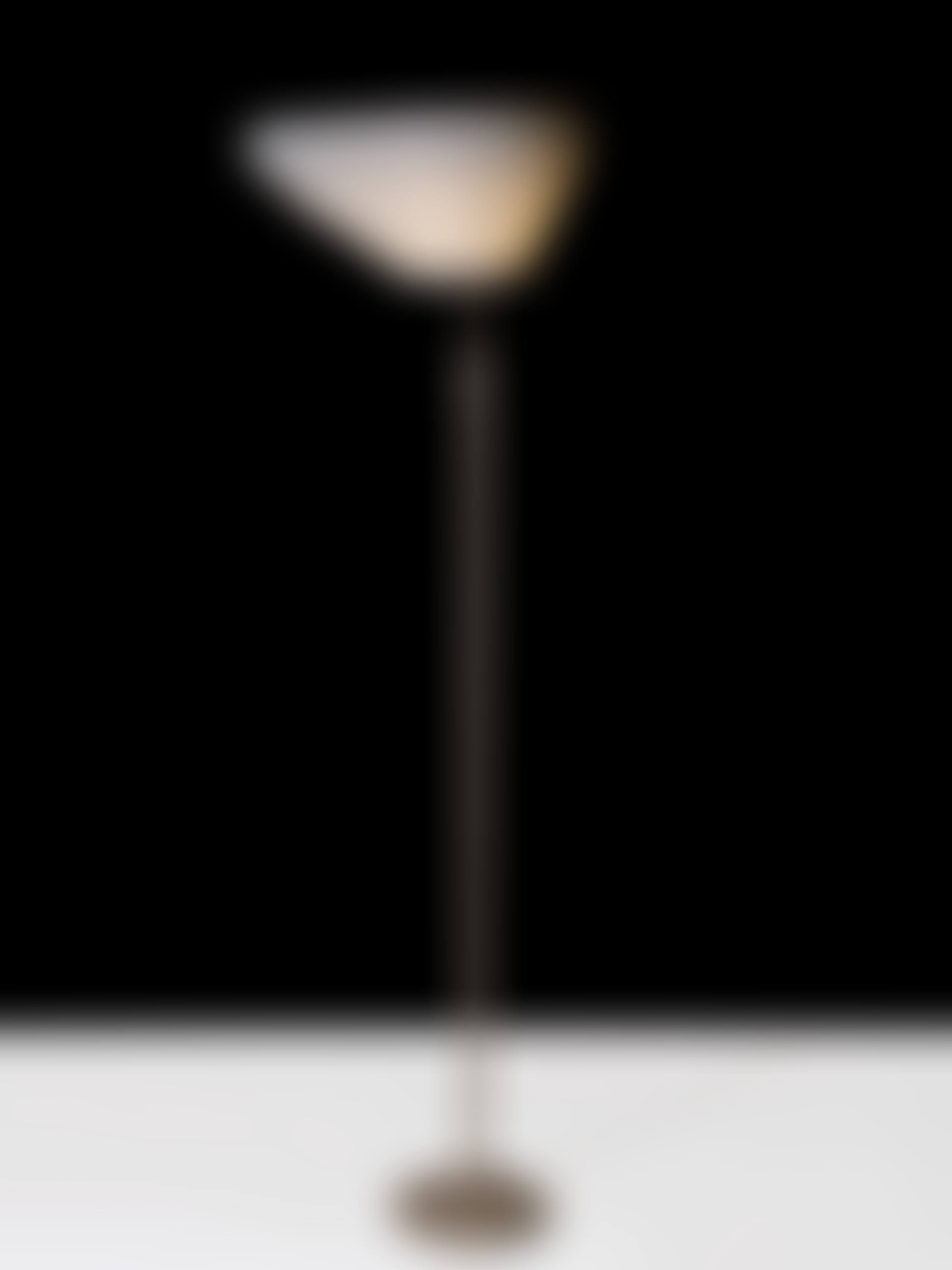 Rare lampadaire mod A805  (preview)