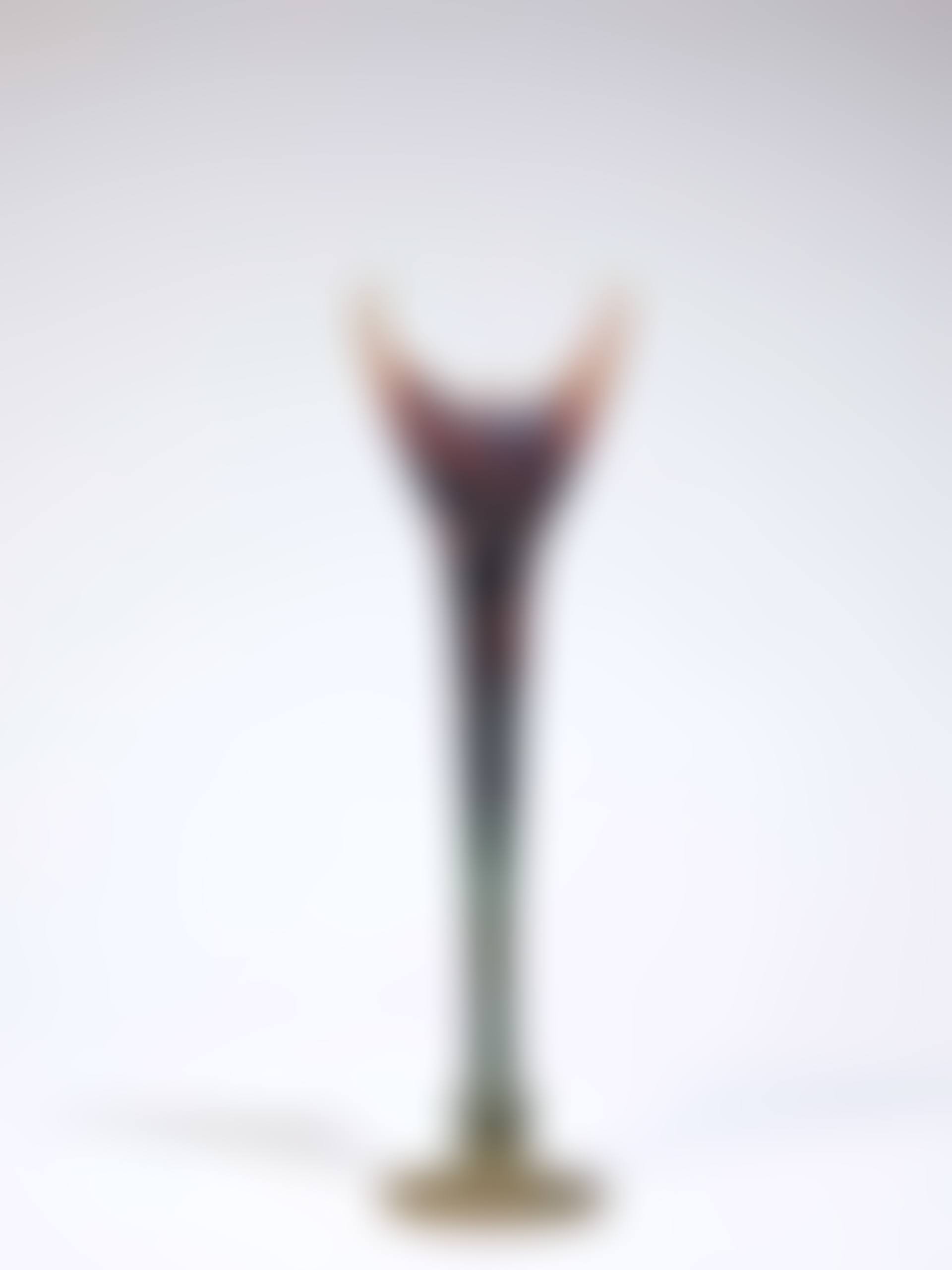 Soliflore  (preview)