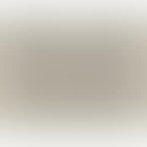RELATUM D (Print No.40) (preview)