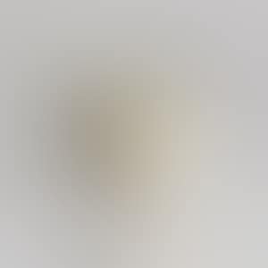 Small bowl (preview)