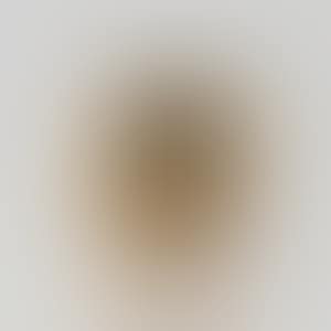 Gold Kairagi Shino bowl (preview)