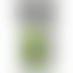 UNTITLED (ORIGINAL FAKE SERIES) (preview)
