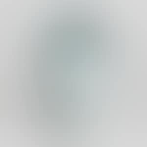 PERMANENT THIRTY - THREE (1281) (preview)