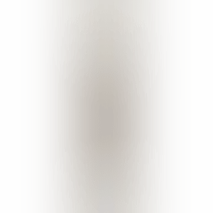 COMPANION (Gray) (preview)