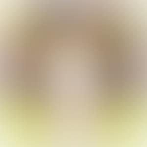 I can not remember her face (preview)