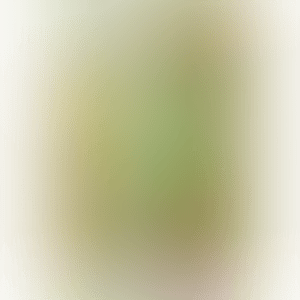 Shokusocho 18 golden green pheasant (Phoenix 18) (preview)
