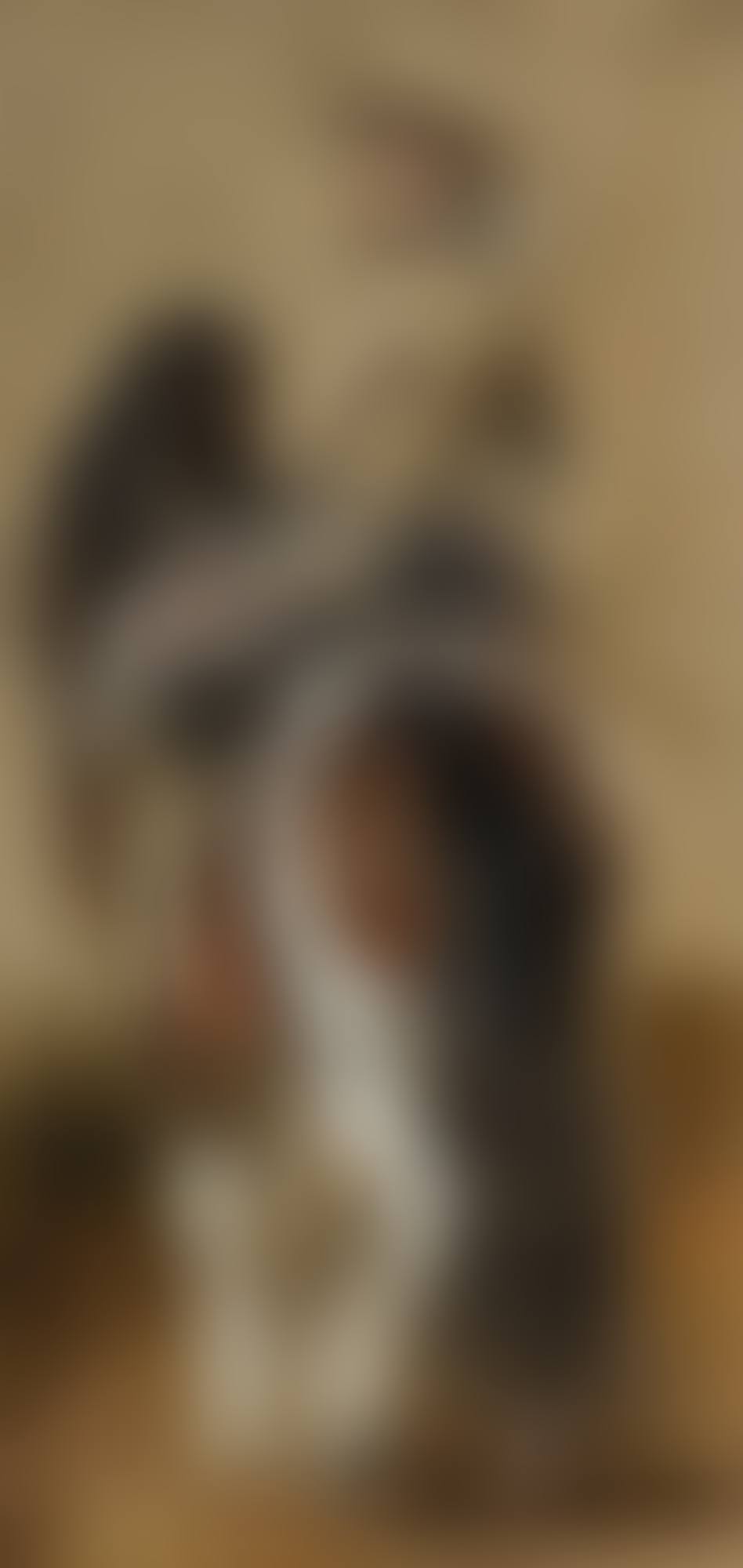 STUDY OF A HORSE WITH A RIDER (preview)