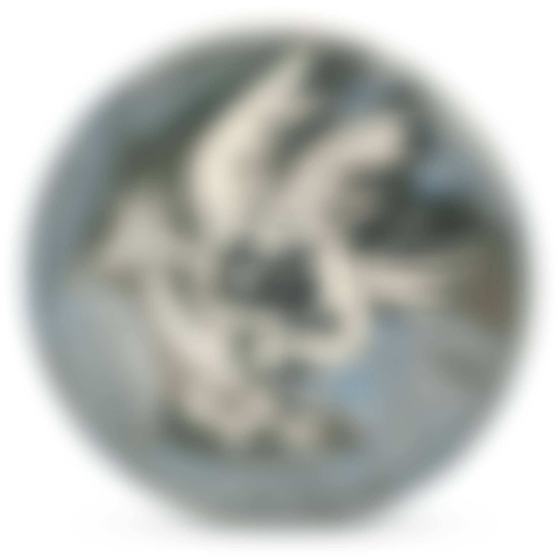OISEAU NO. 91 (A. R. 485)<br/> (preview)