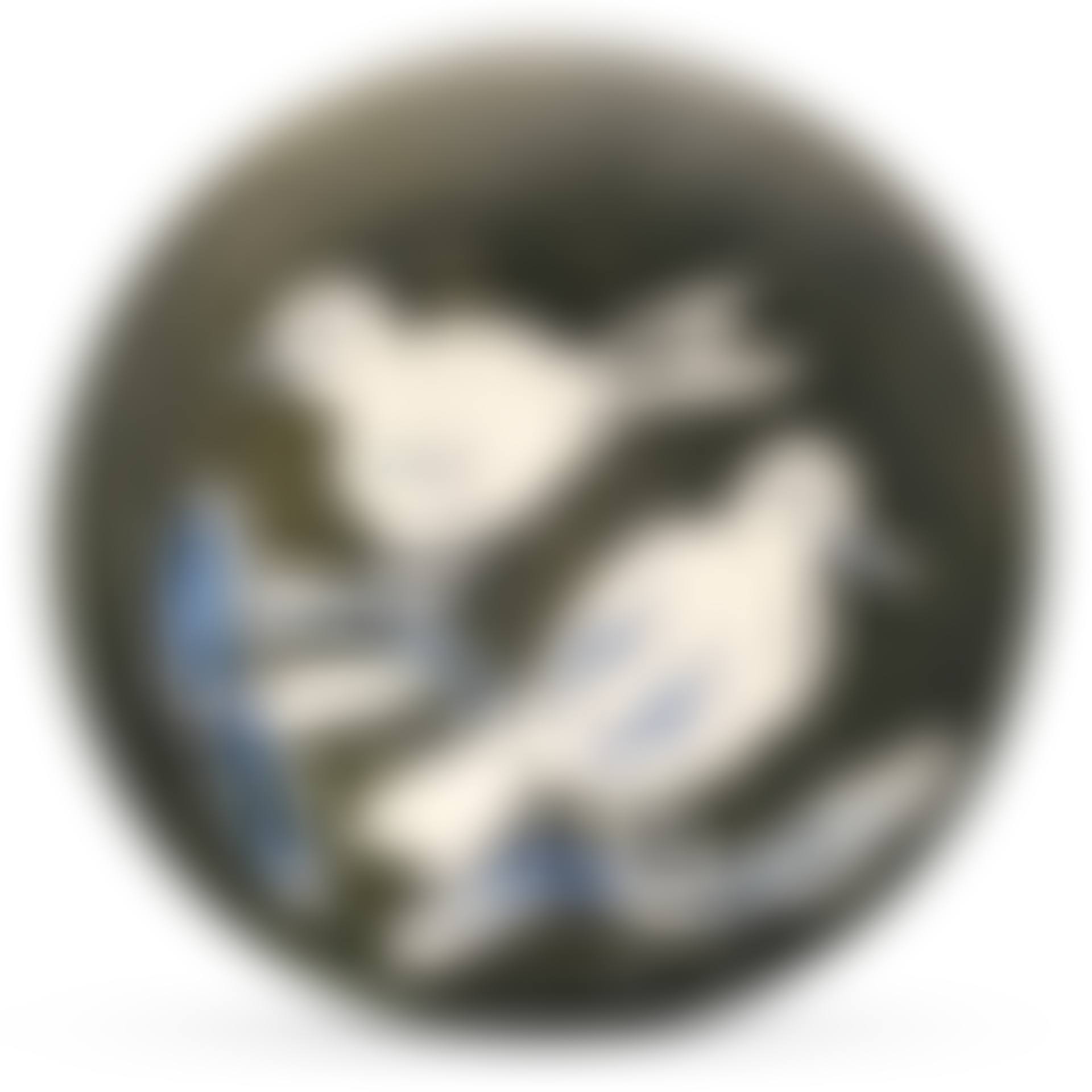 DEUX OISEAUX NO. 95 (A. R. 487)<br/> (preview)