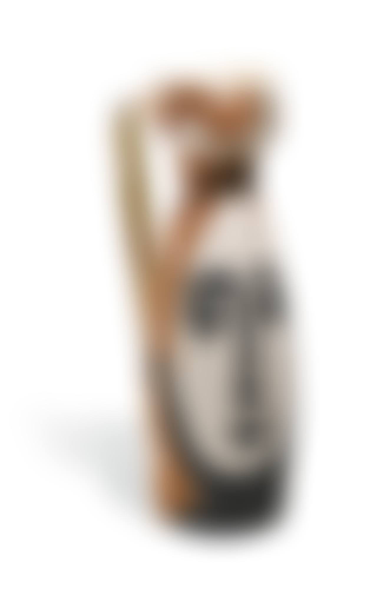 VISAGE (A. R. 288)<br/> (preview)