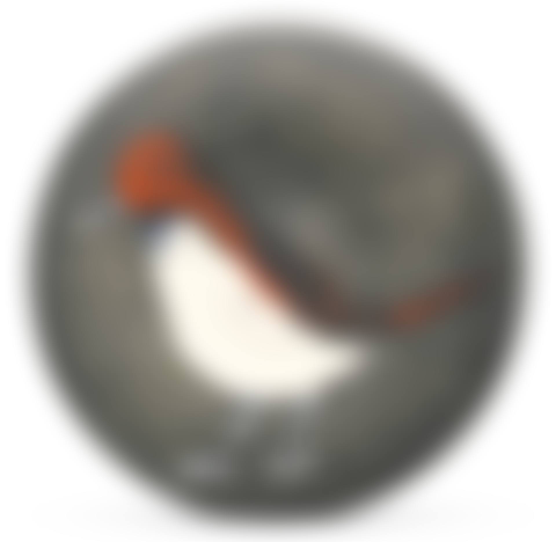 OISEAU NO. 96 (A. R. 488)<br/> (preview)