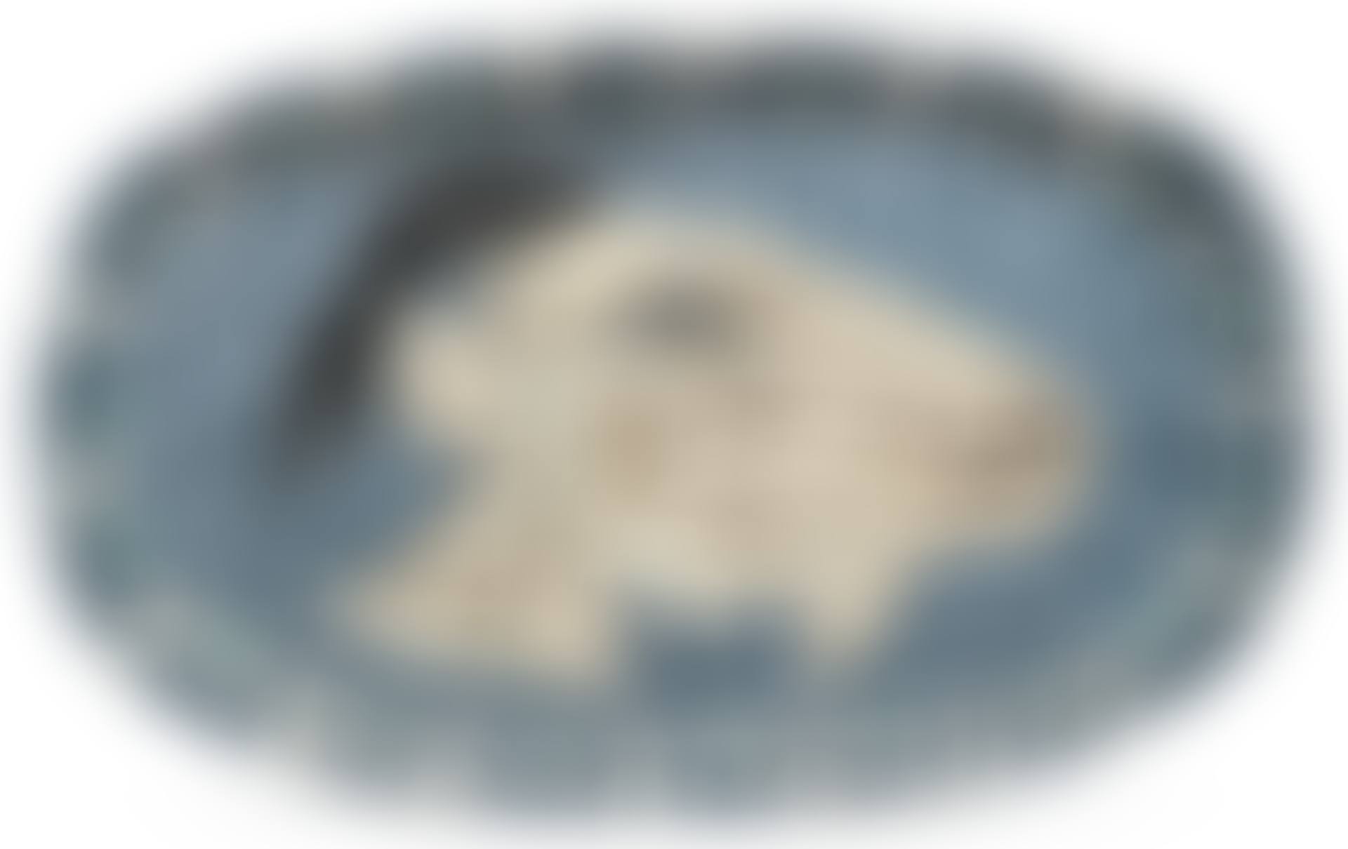 TÊTE DE CHÈVRE DE PROFIL (A. R. 145)<br/> (preview)