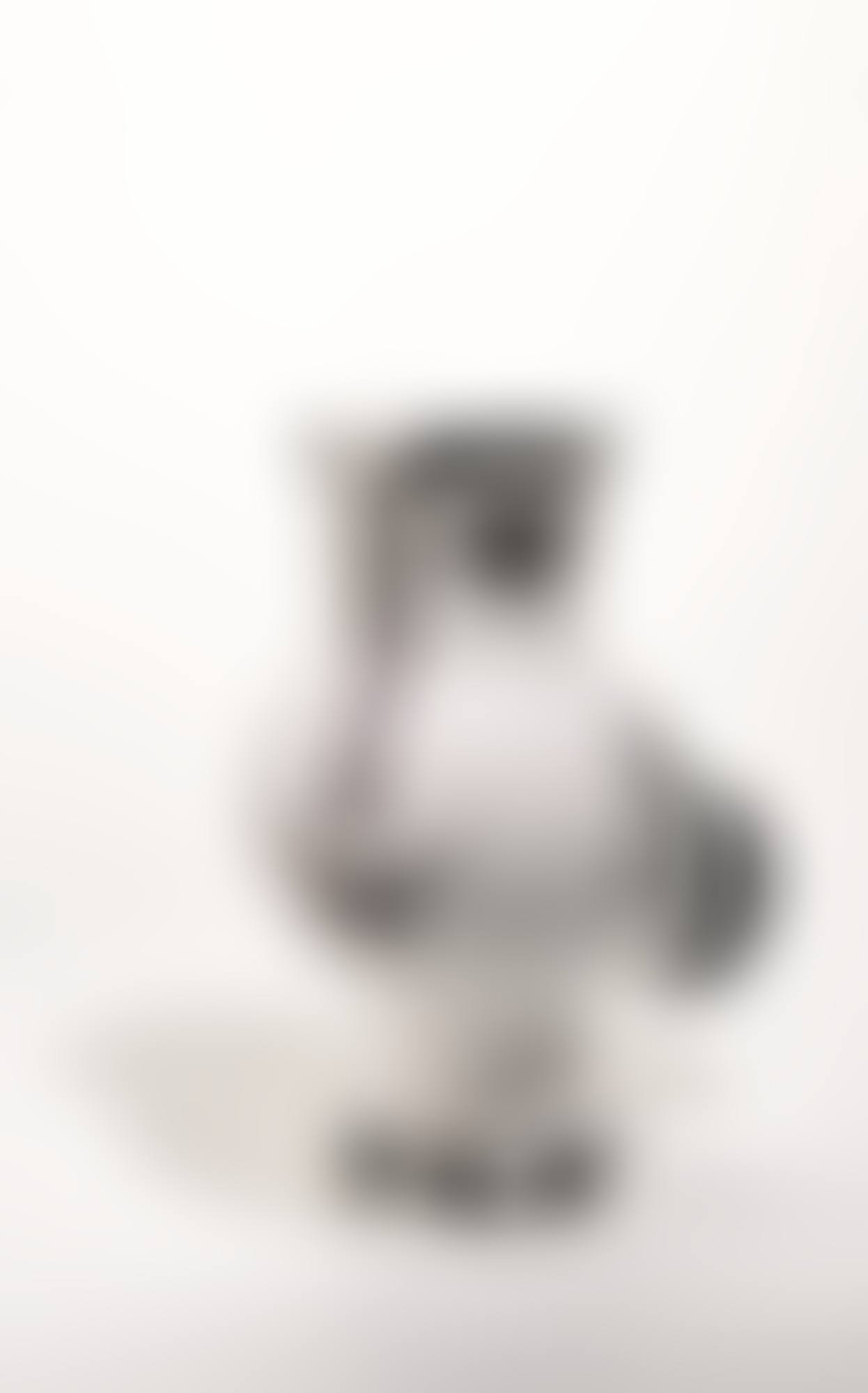 CHOUETTE VISAGE DE FEMME (A. R. 144)<br/> (preview)