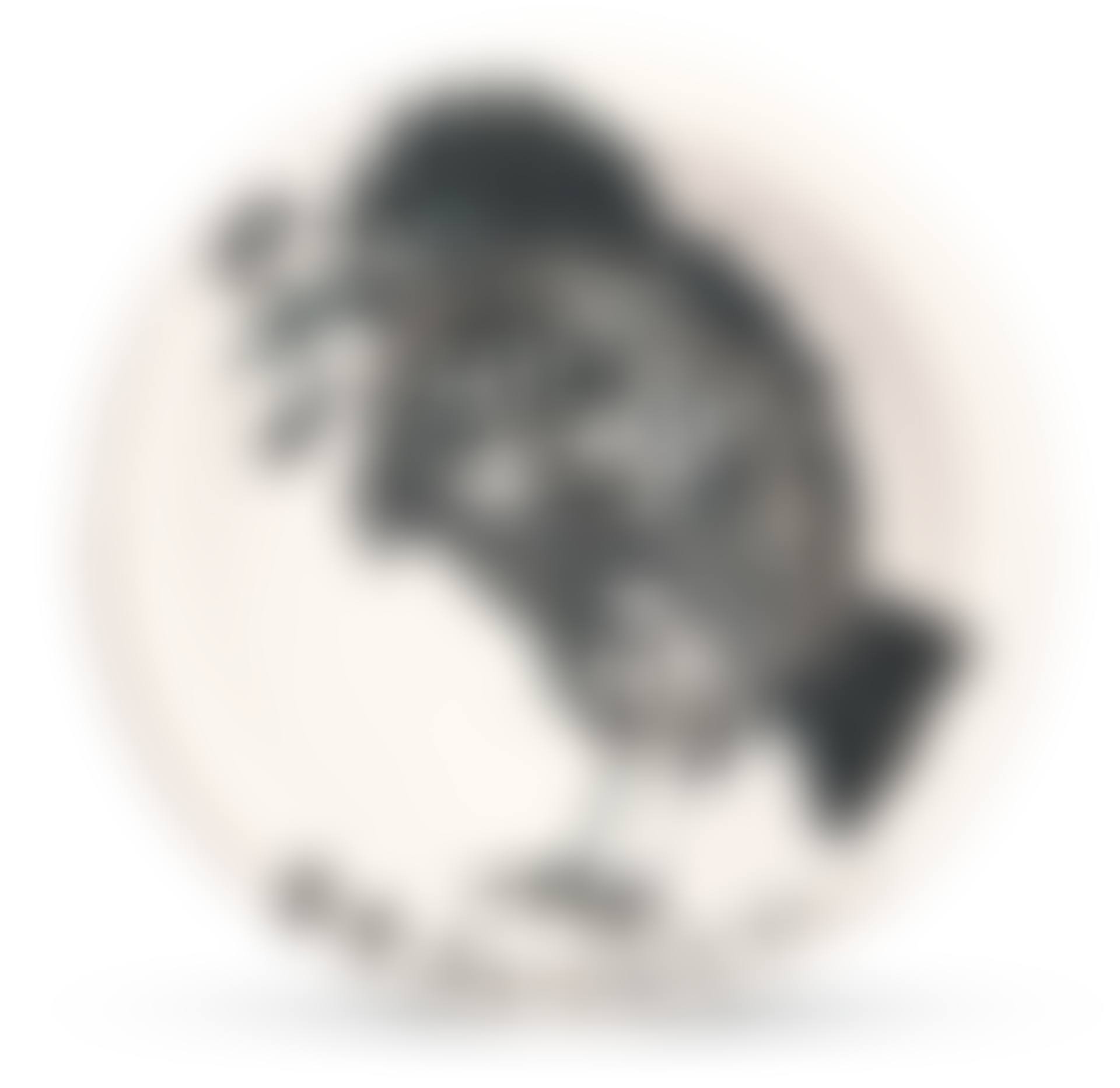 OISEAU AU VER (A. R. 172)<br/> (preview)