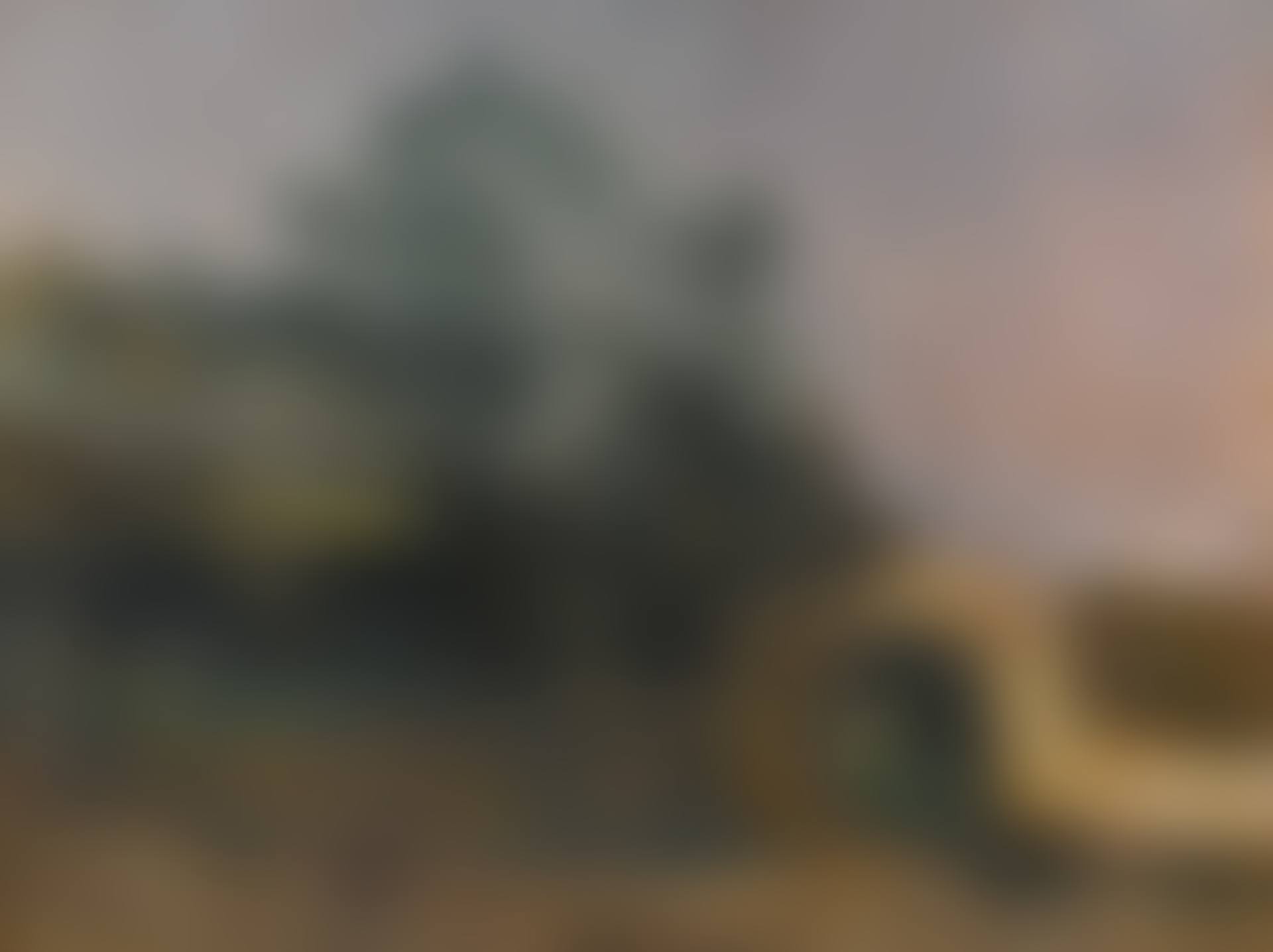 PAYSAGE AVEC PASSAGE VOÛTÉ (preview)