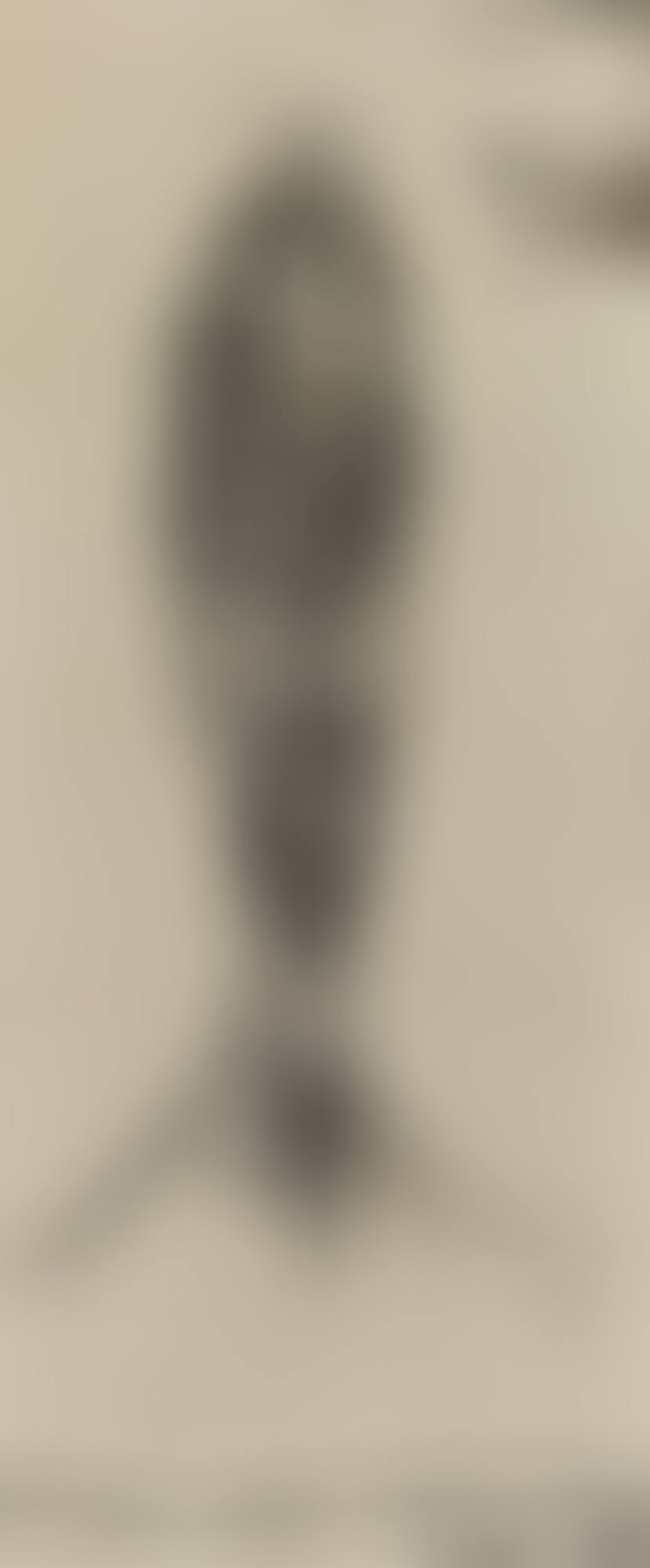 TÊTE (preview)