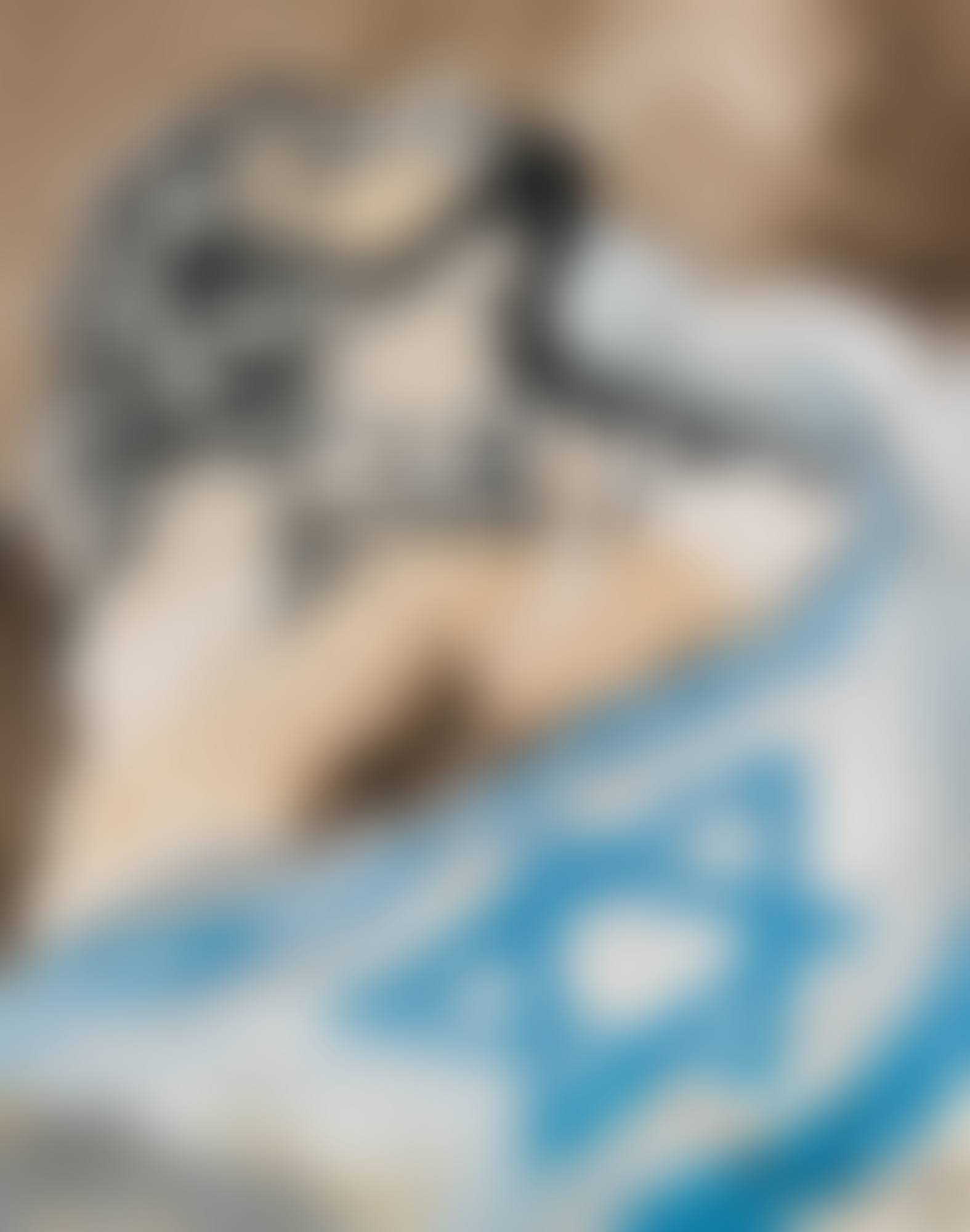 ALIYAH (preview)