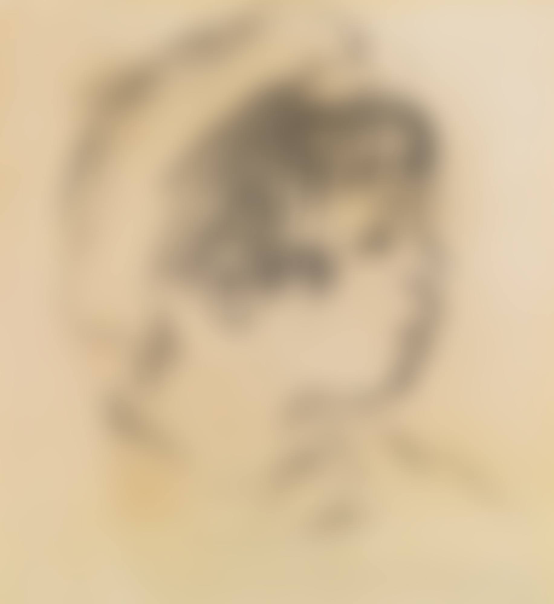 PIERRE RENOIR OU ENFANT COIFFÉ D'UN BERET (preview)