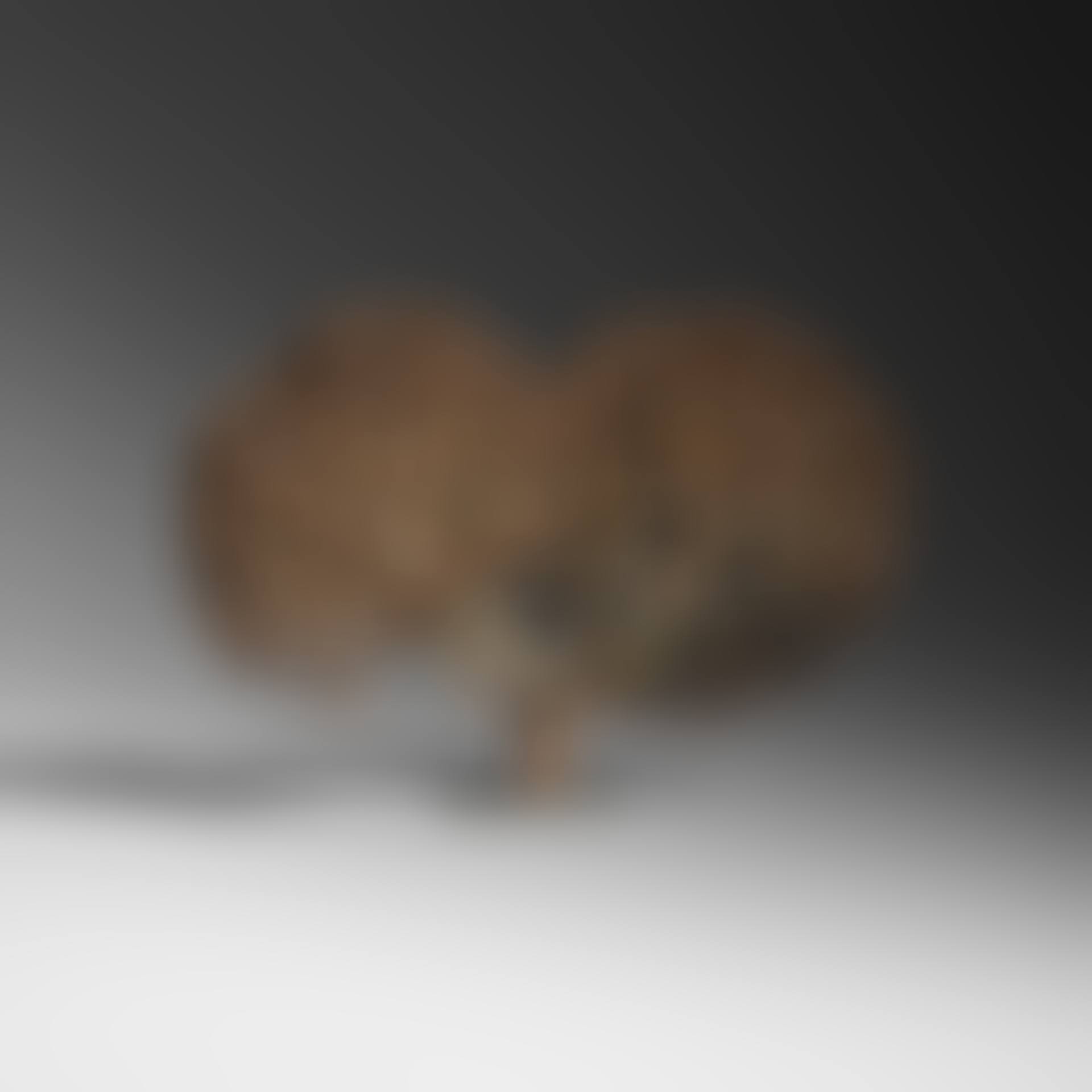 Untitled (Bush Form) (preview)