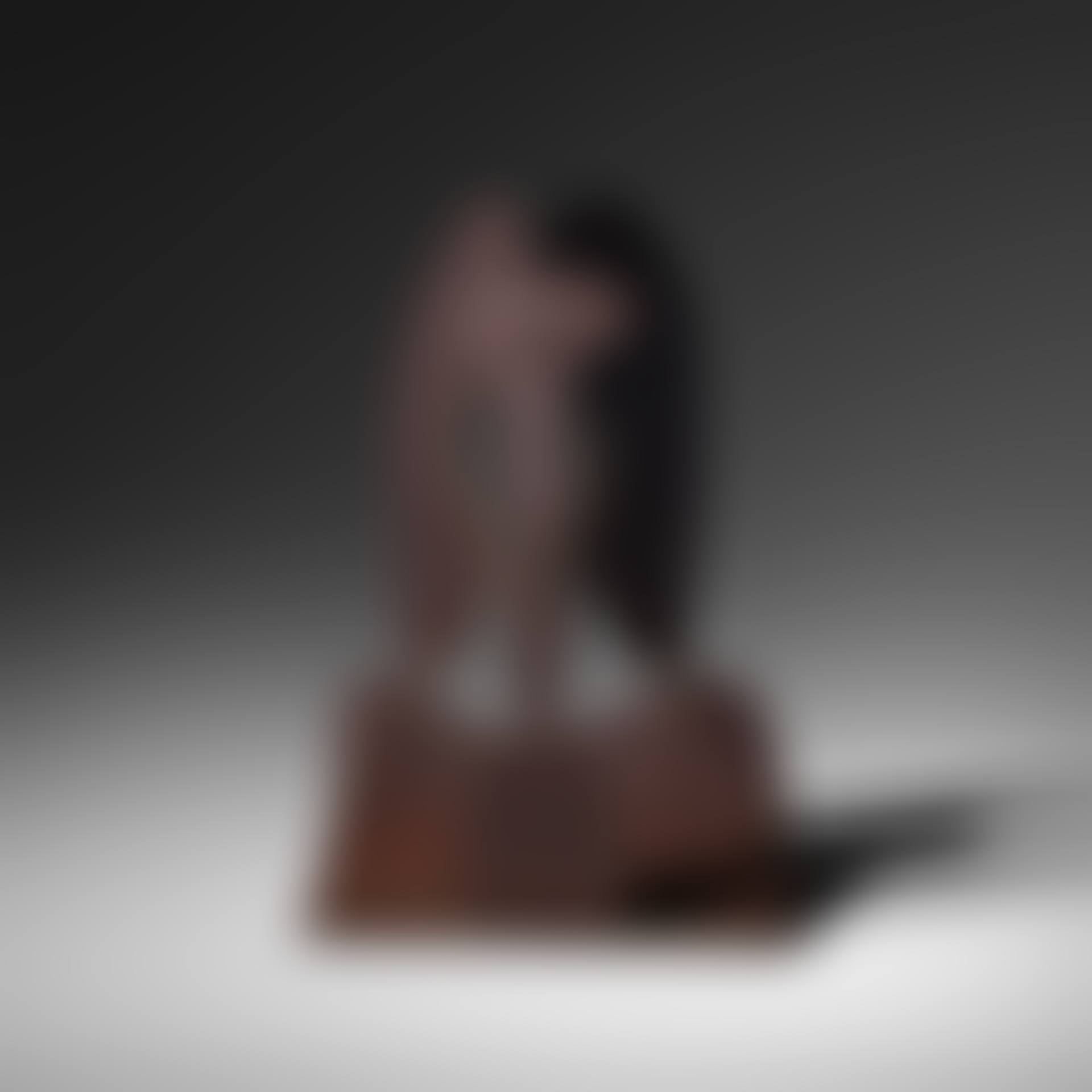 maquette for the Richard J. Daley Center Sculpture (preview)