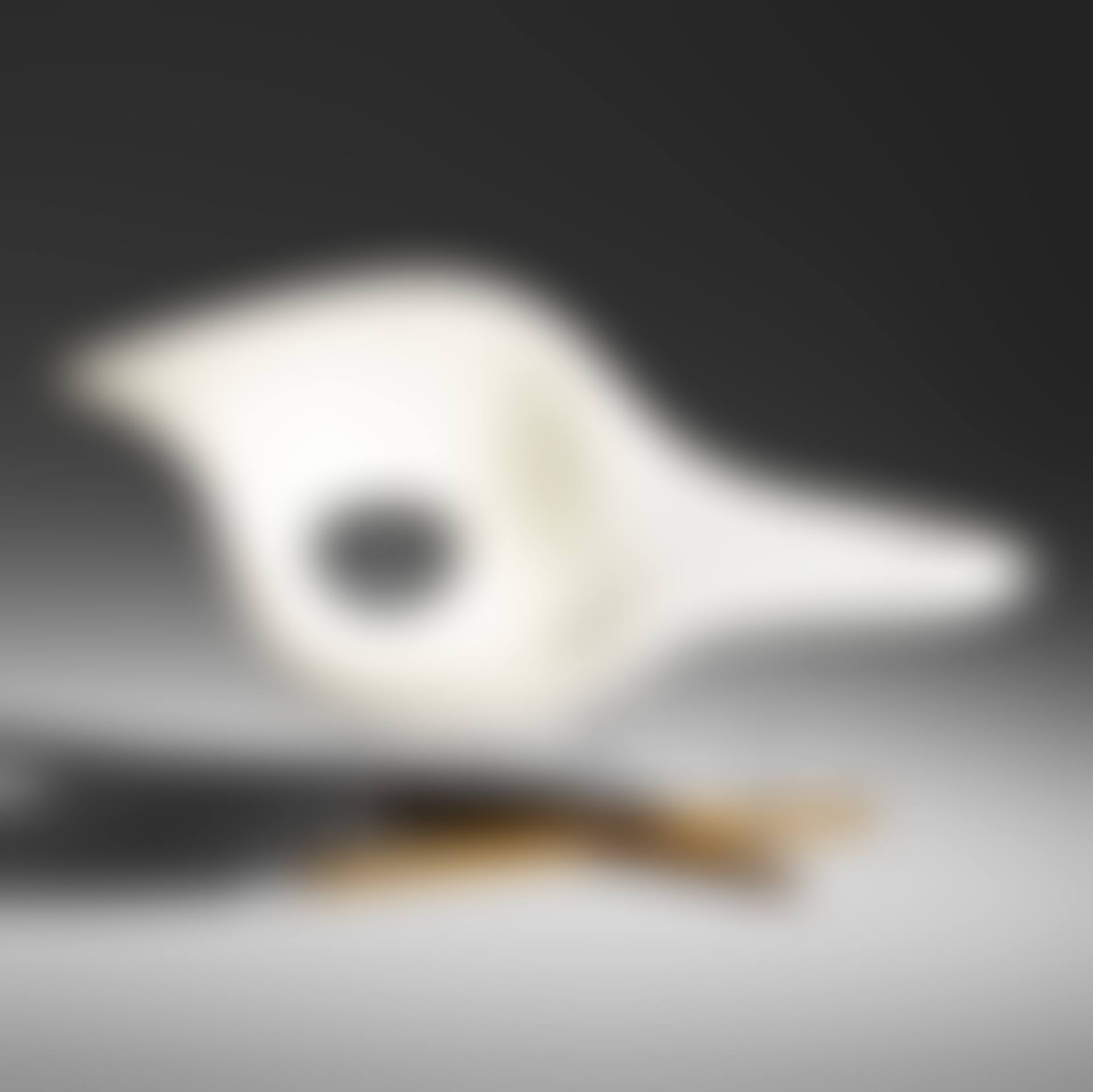La Chaise (preview)