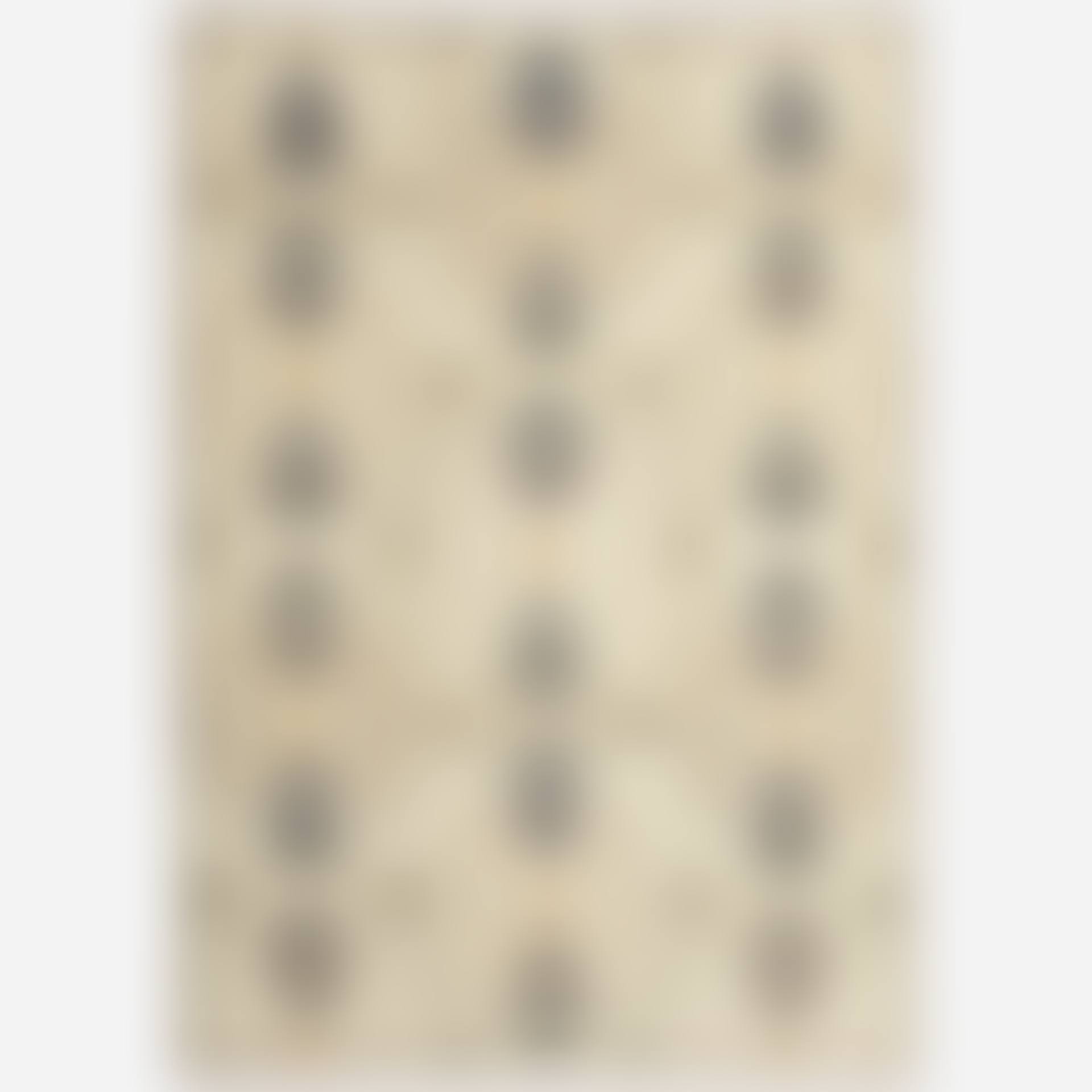 flatweave carpet (preview)