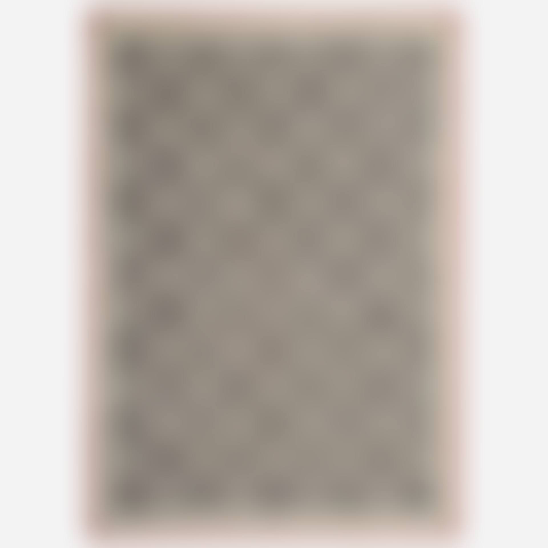 flatweave carpet (preview)