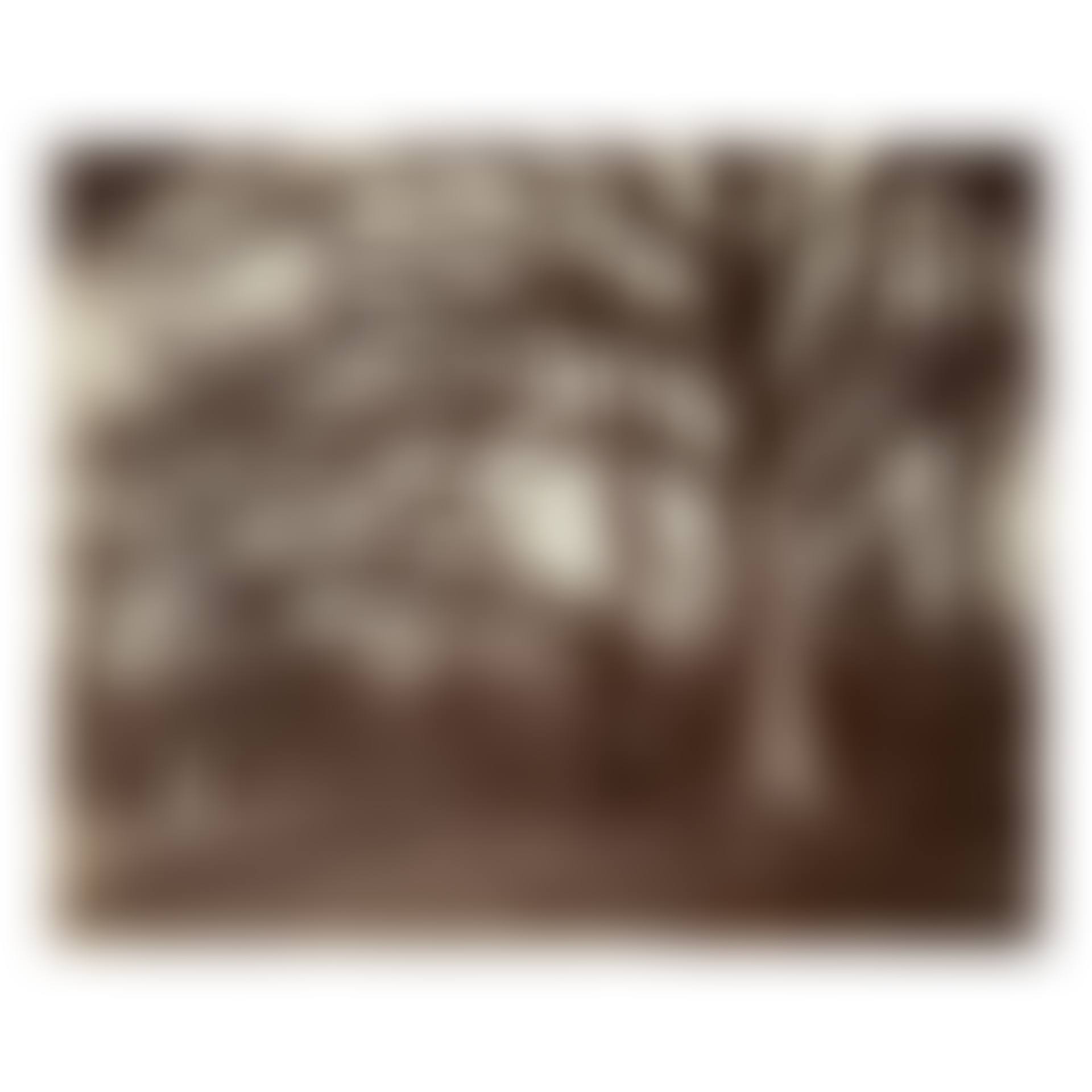 'ST. CLOUD' (preview)