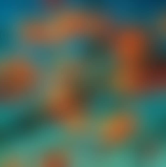 Persimmons (preview)