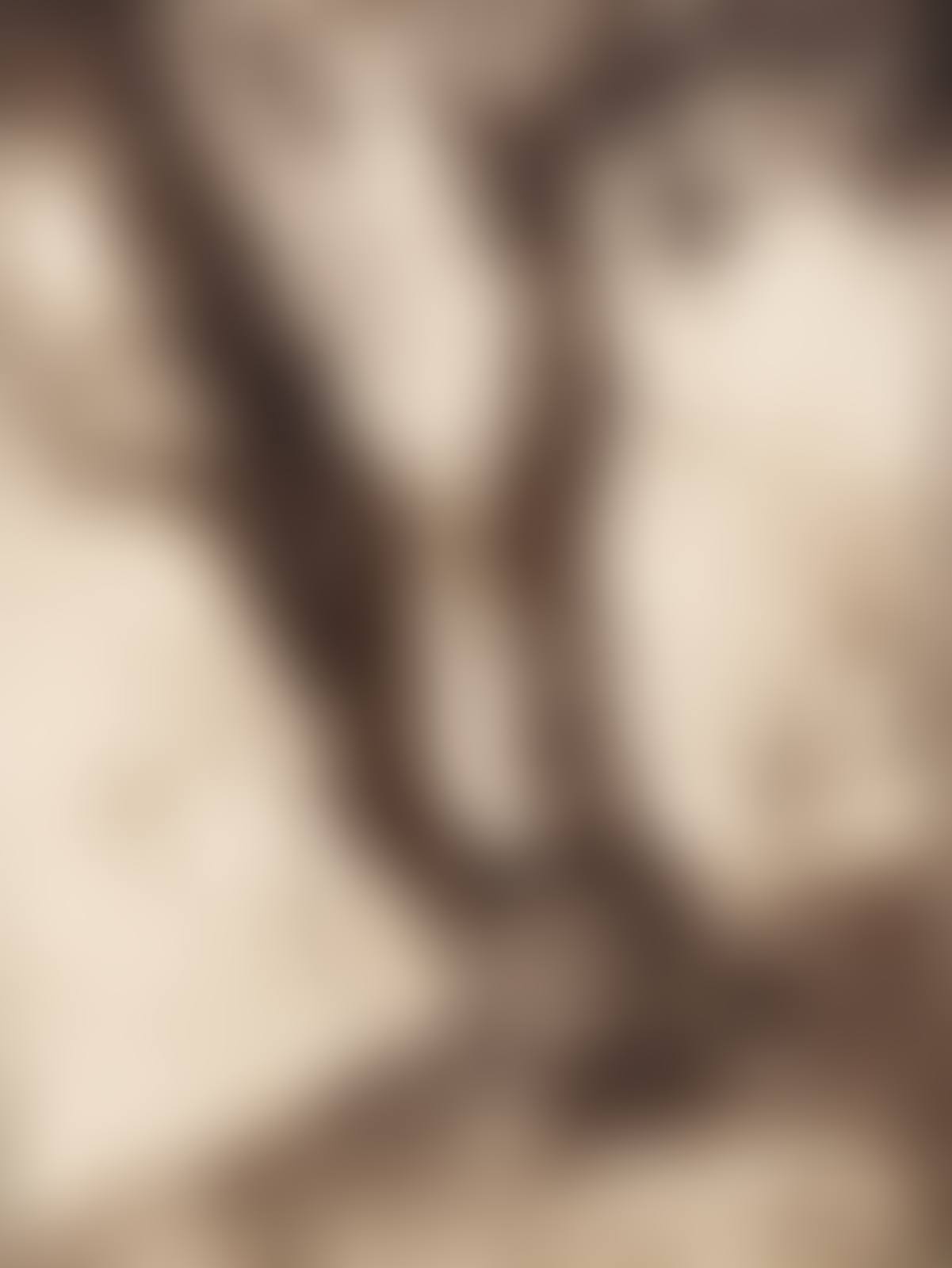 Olivier (preview)