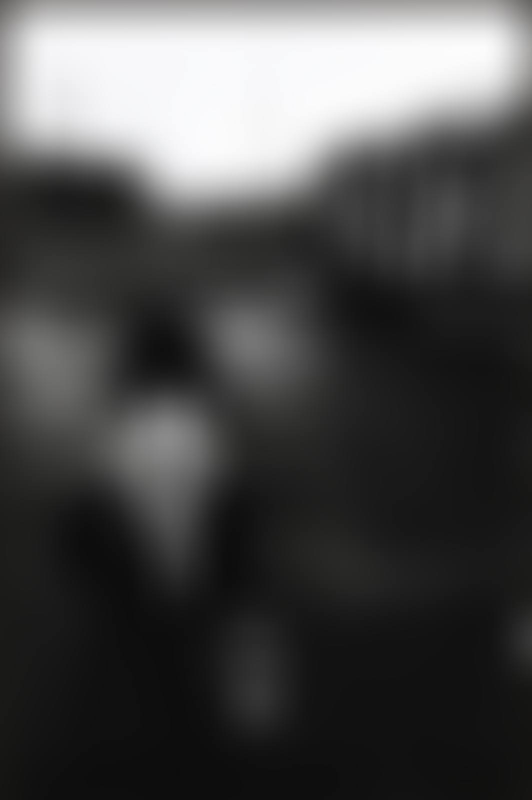 Jimmy Armstrong the Palisades New Jersey (preview)