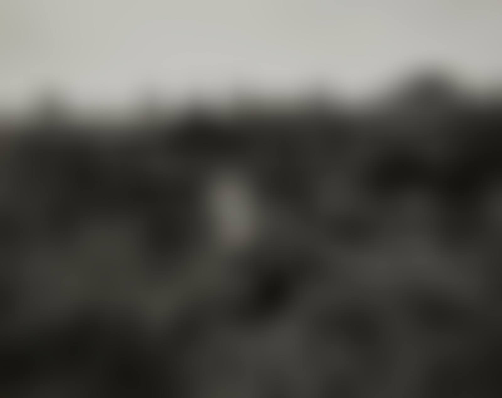 Wales (preview)