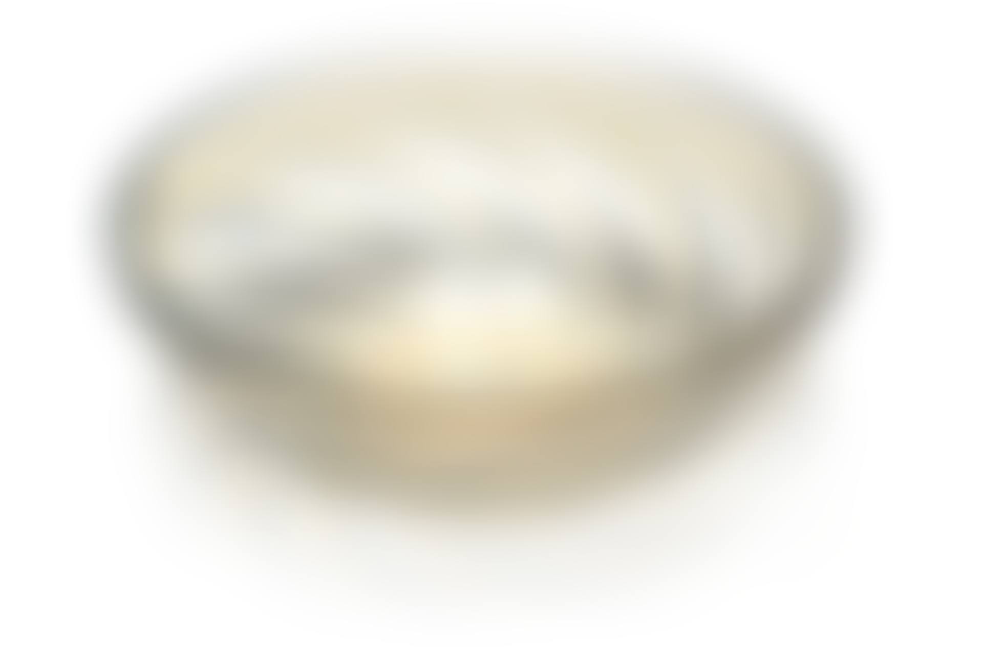 Coupe « Poissons n°1 » (preview)