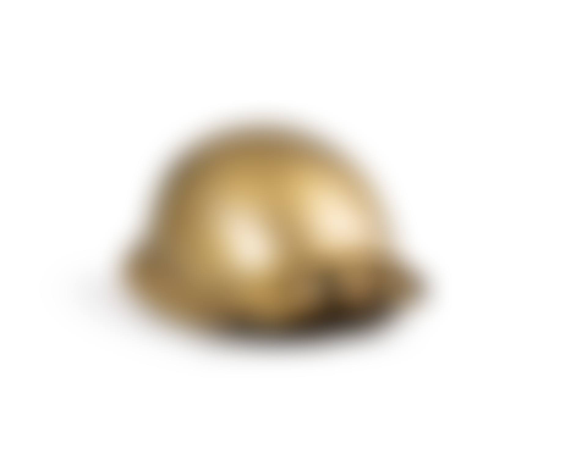 TORTUE (preview)