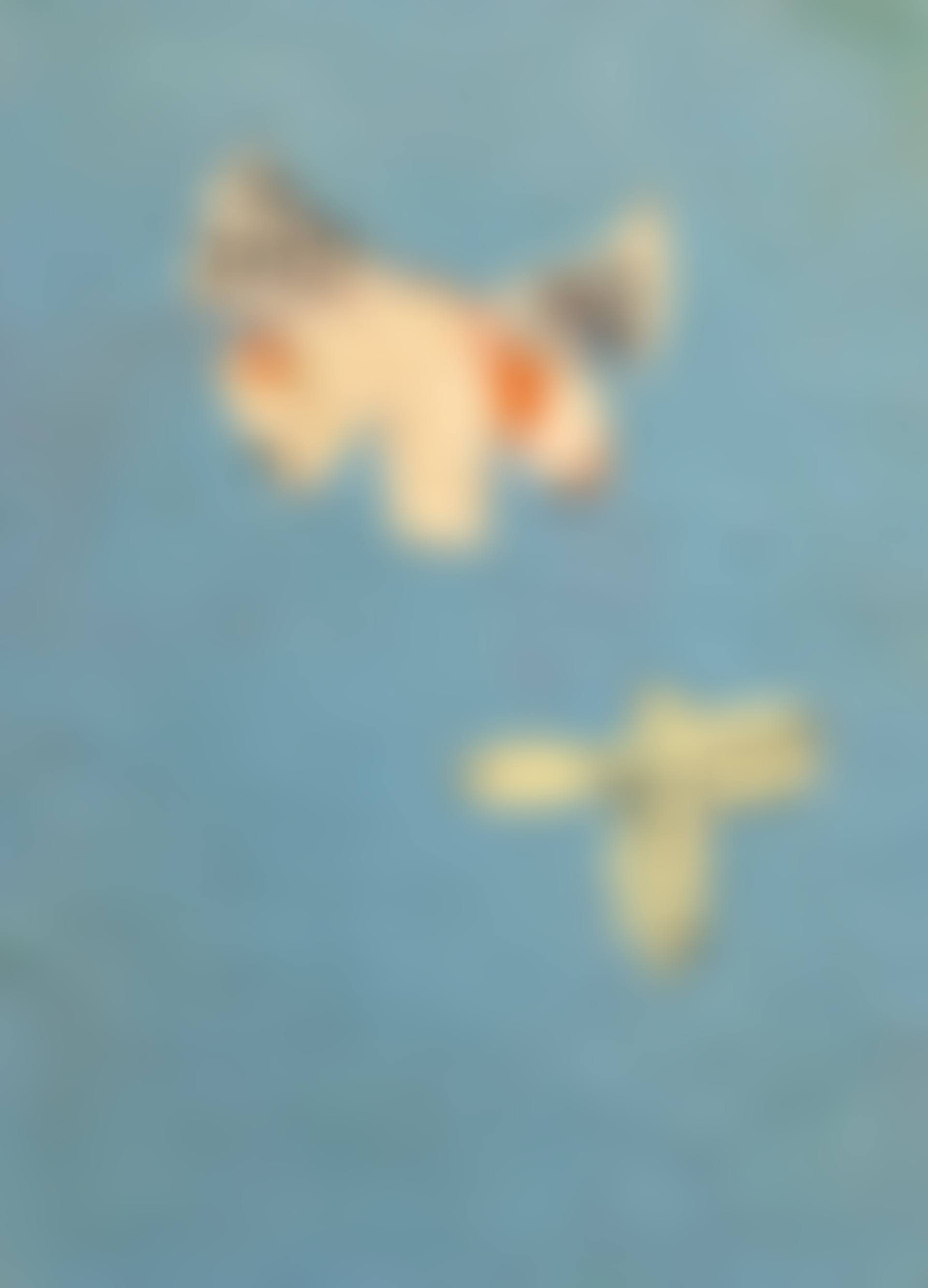 Les Papillons (preview)