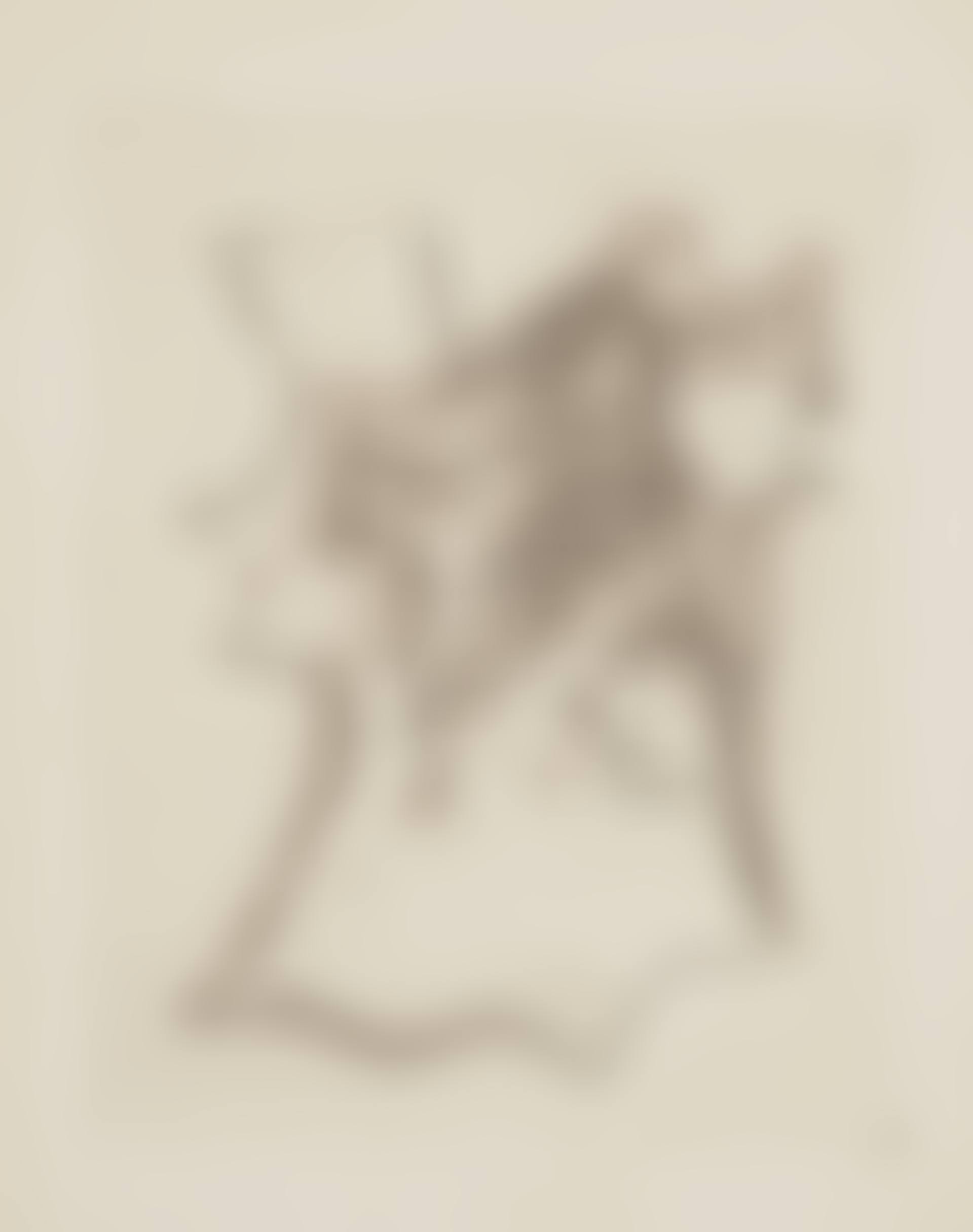 Visages (preview)