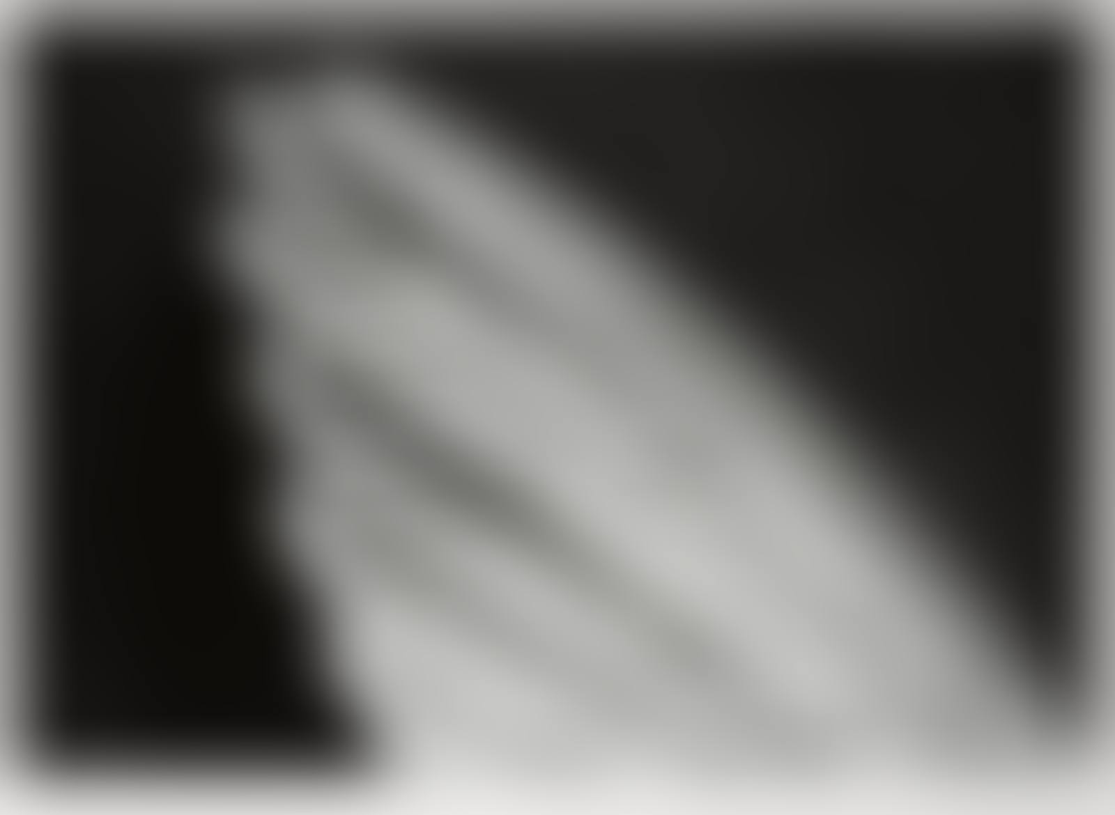 Untitled (Angel's Wing) (small version) (preview)