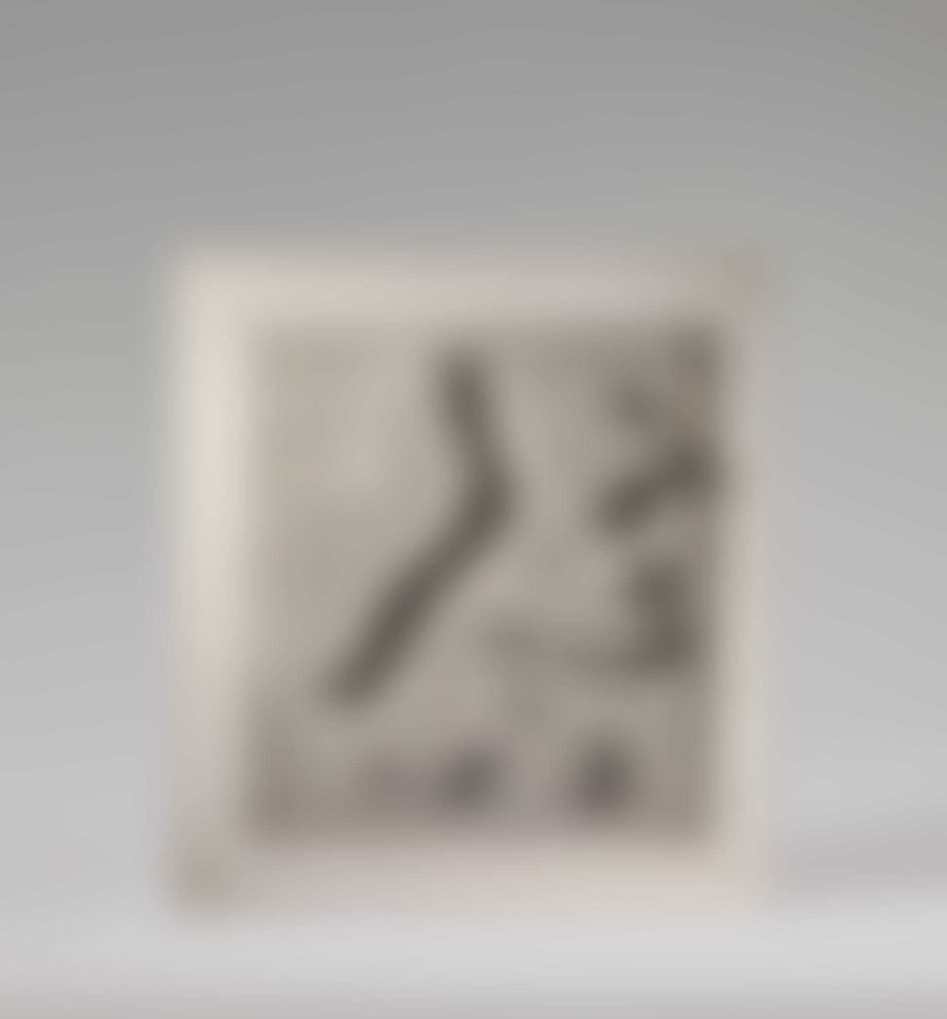 Relief concret N (preview)
